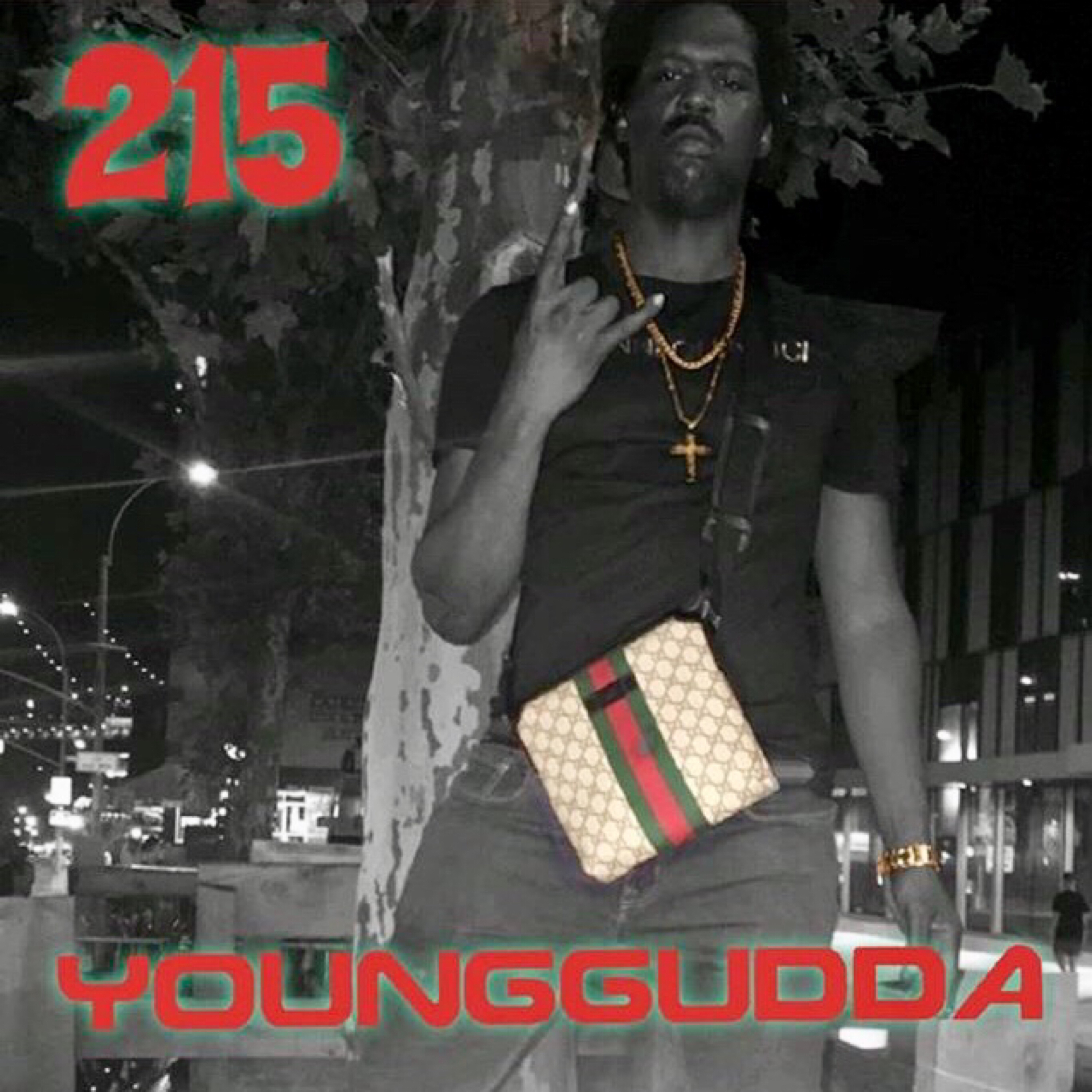 YoungGudda215 artwork