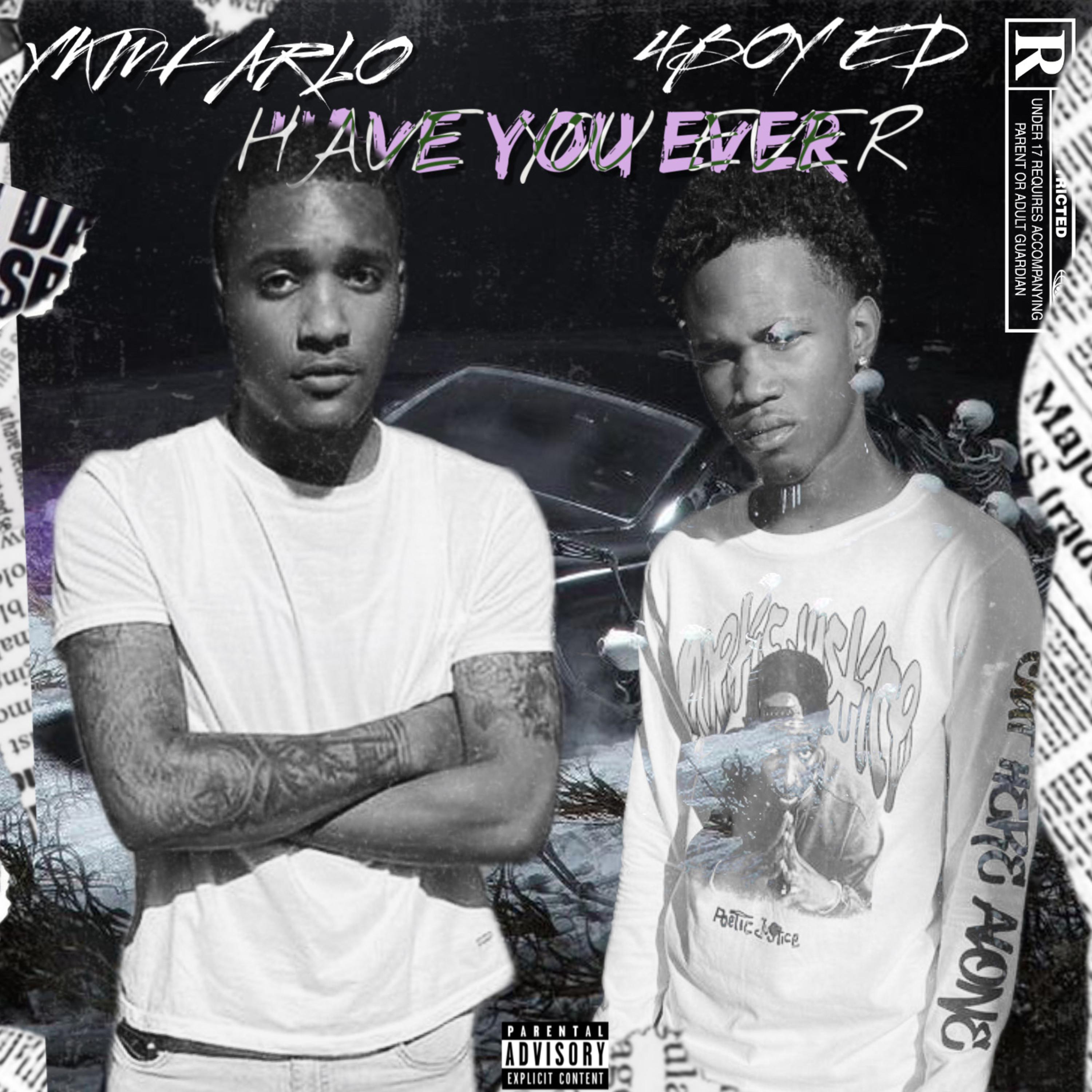 HAVE YOU EVER artwork
