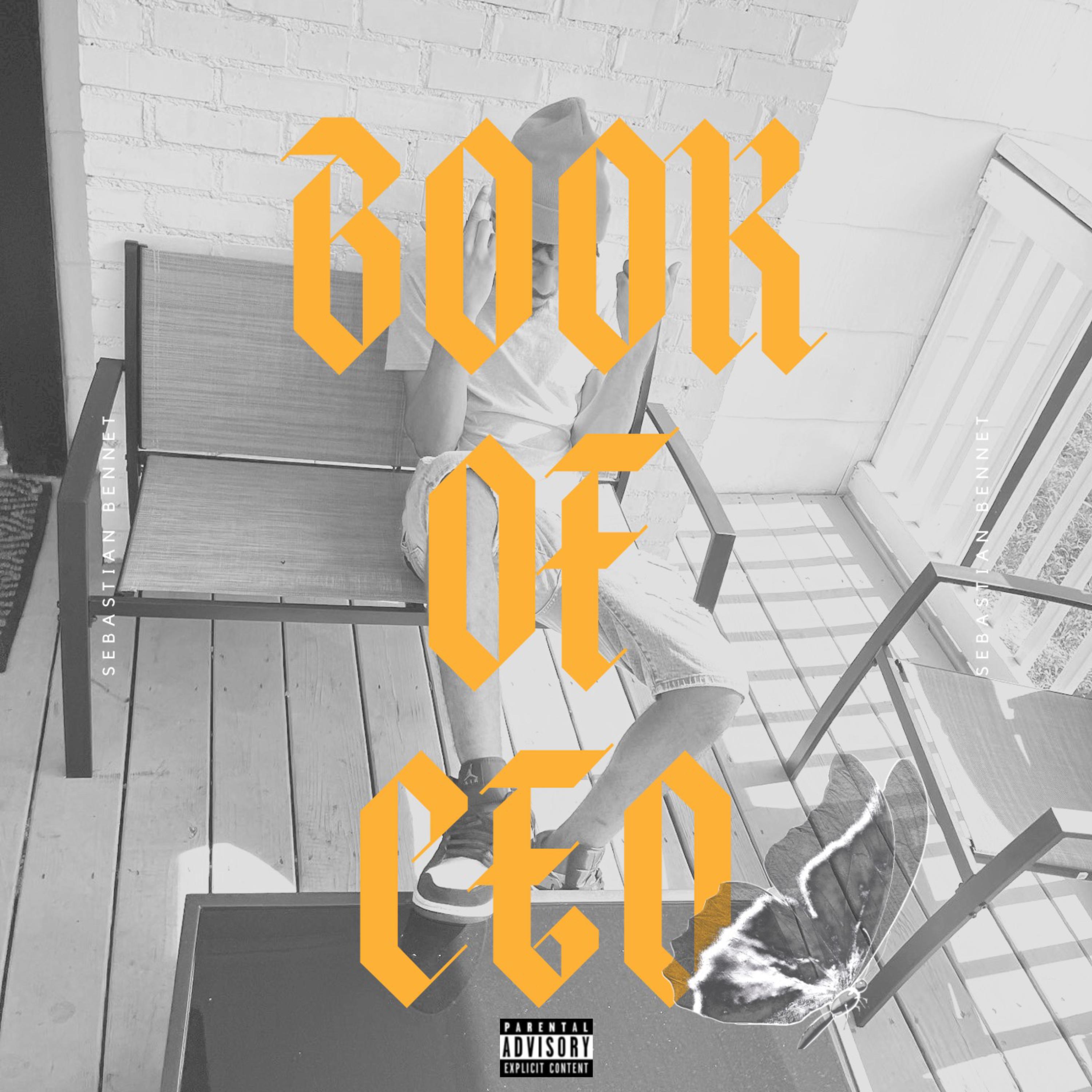 Book Of CEO artwork