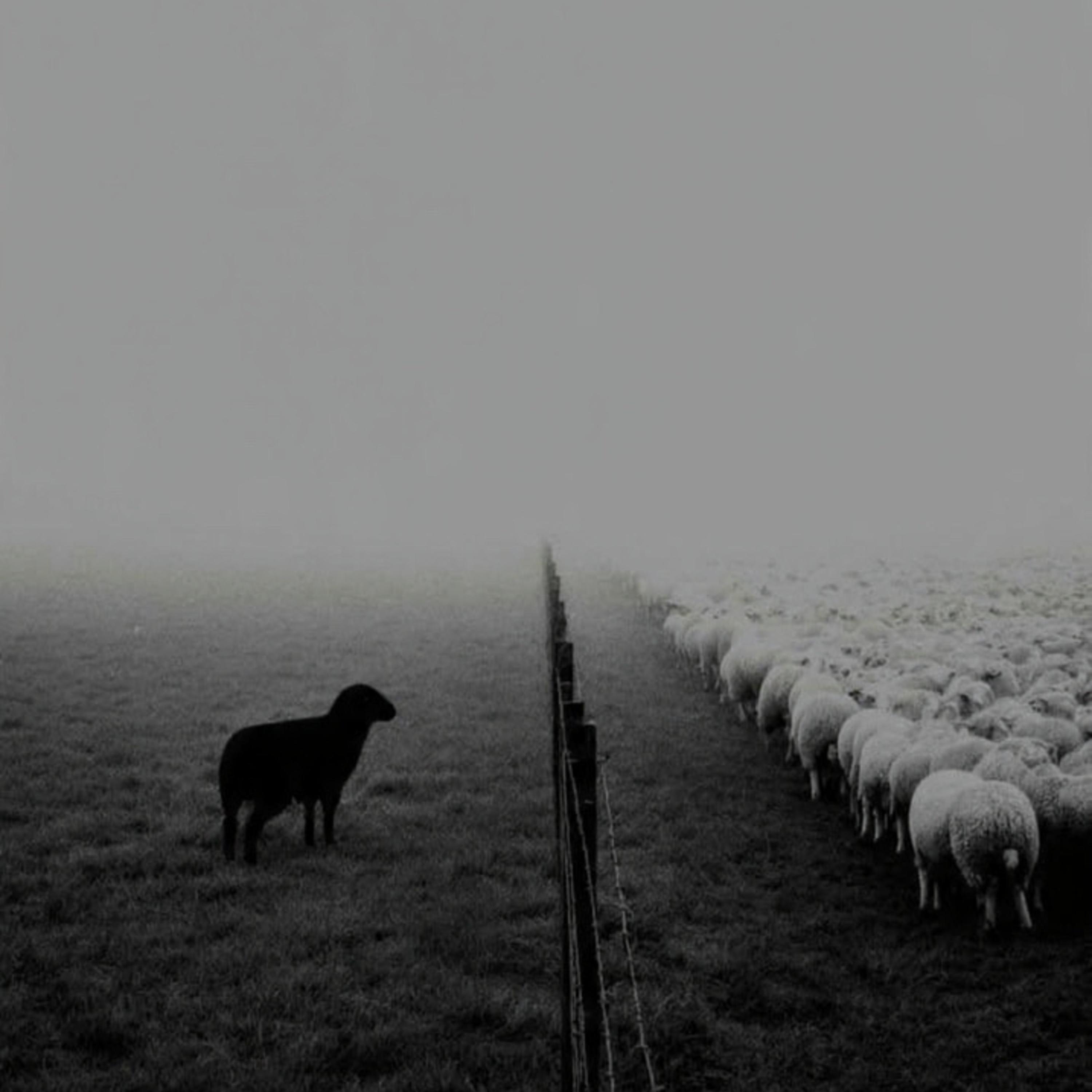 Overlooked artwork