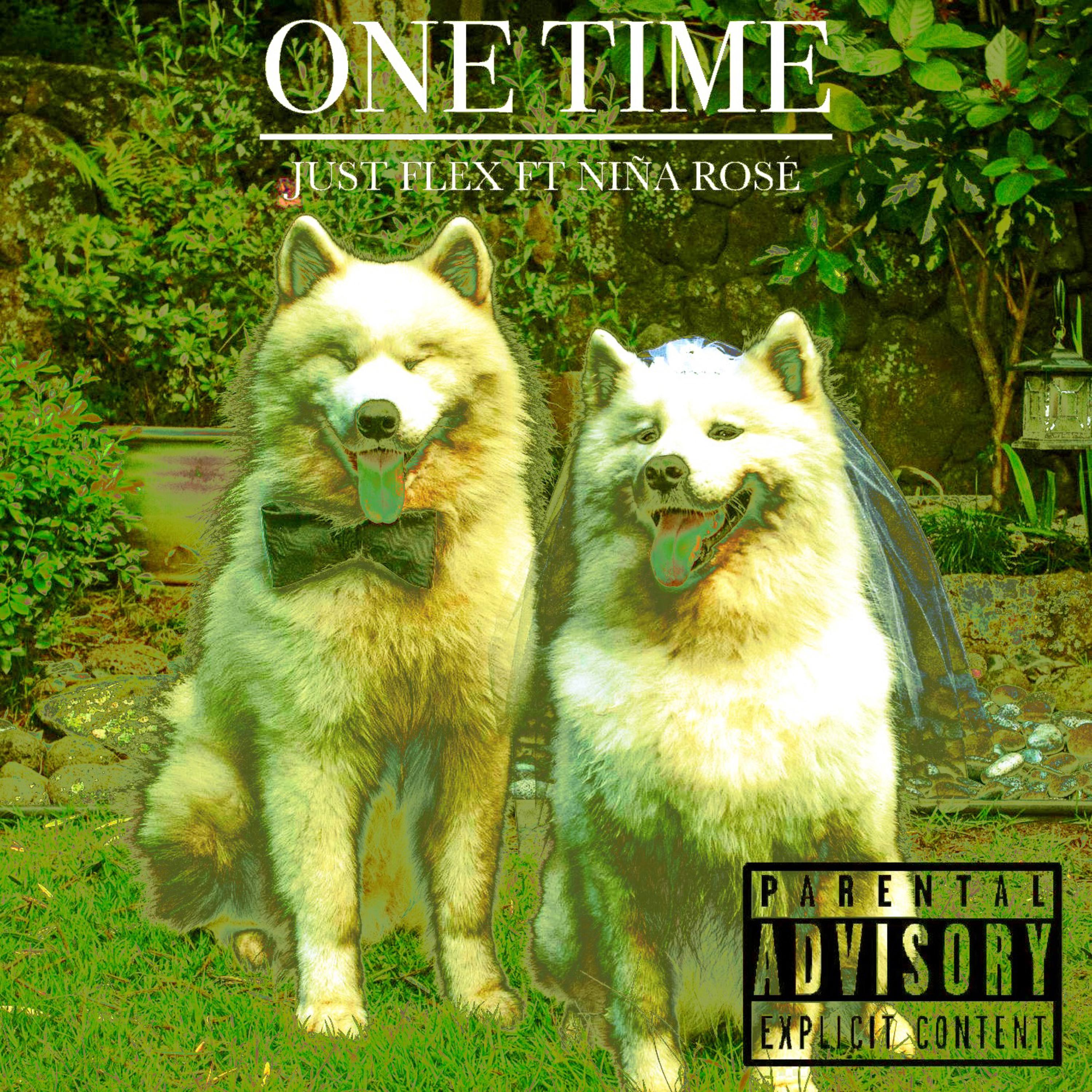One Time by Just FLEX cover art