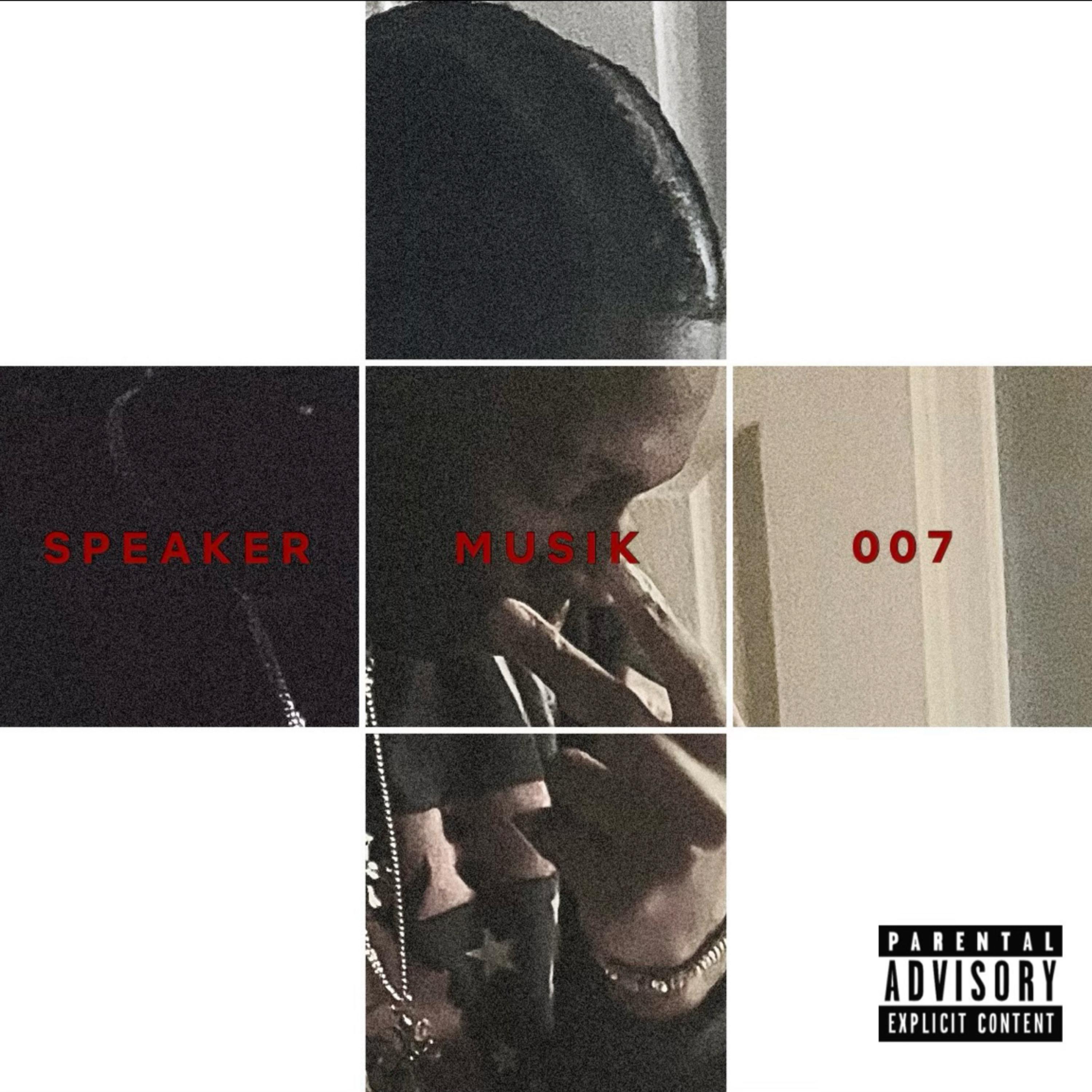 SpeakerMusik artwork