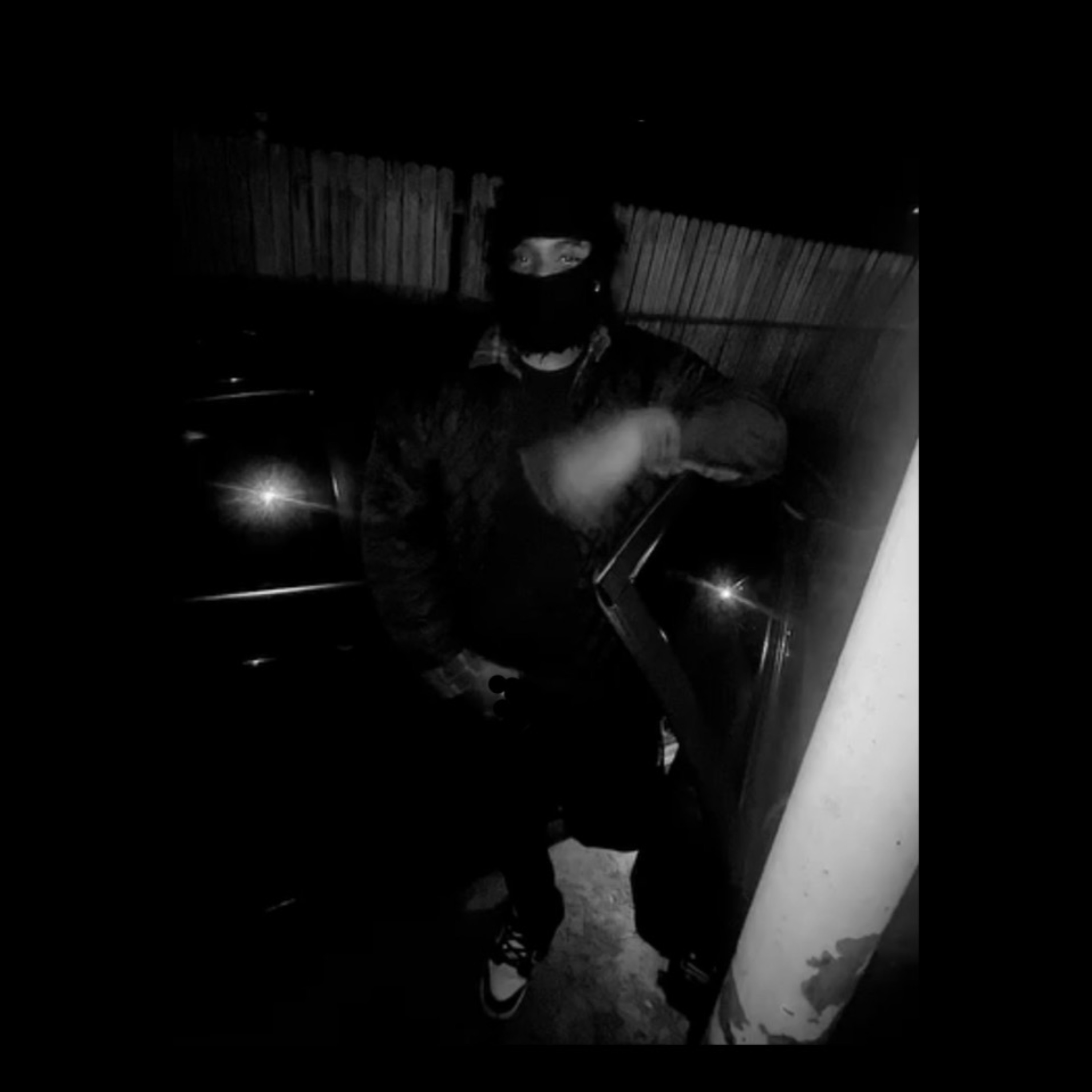 1008 artwork