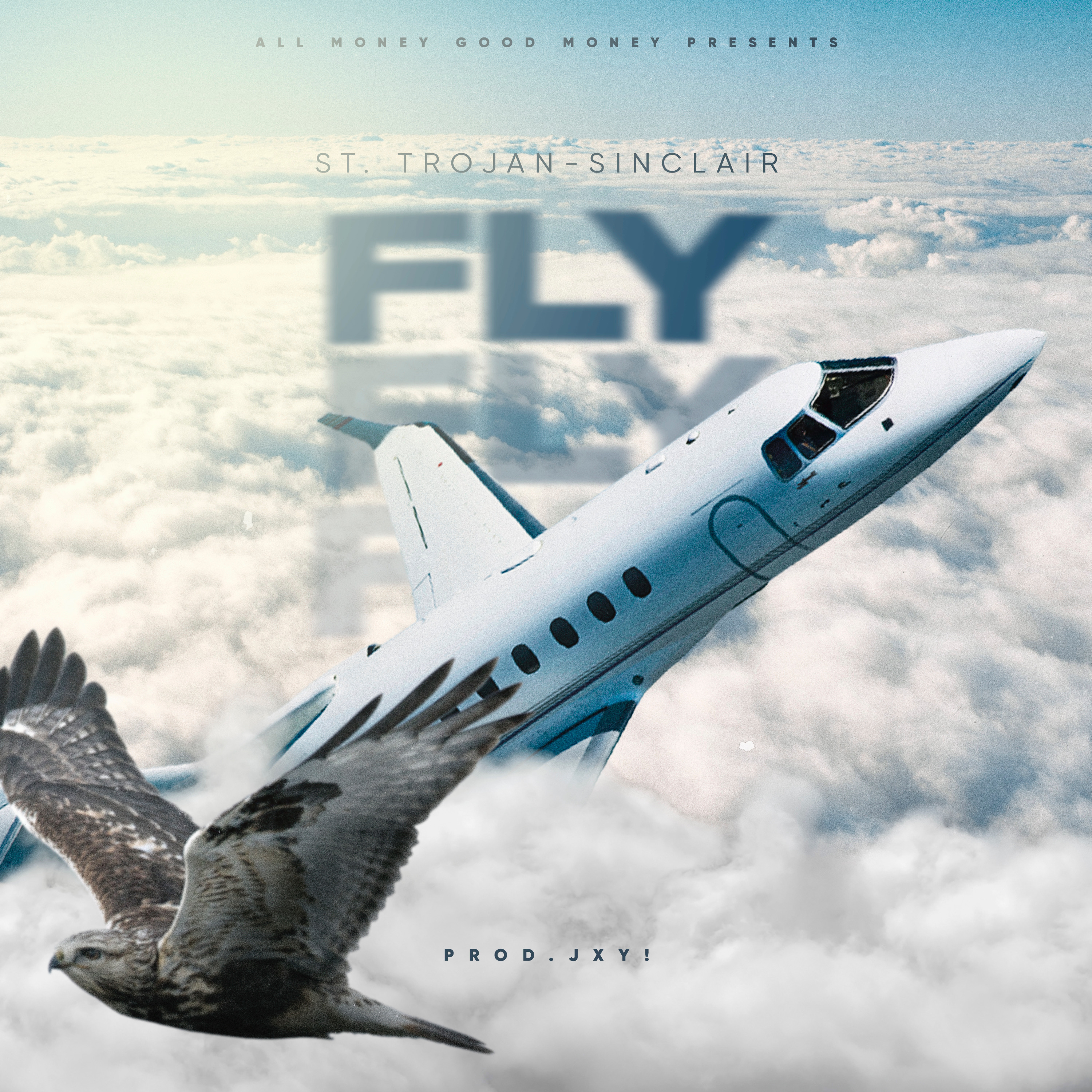Fly artwork
