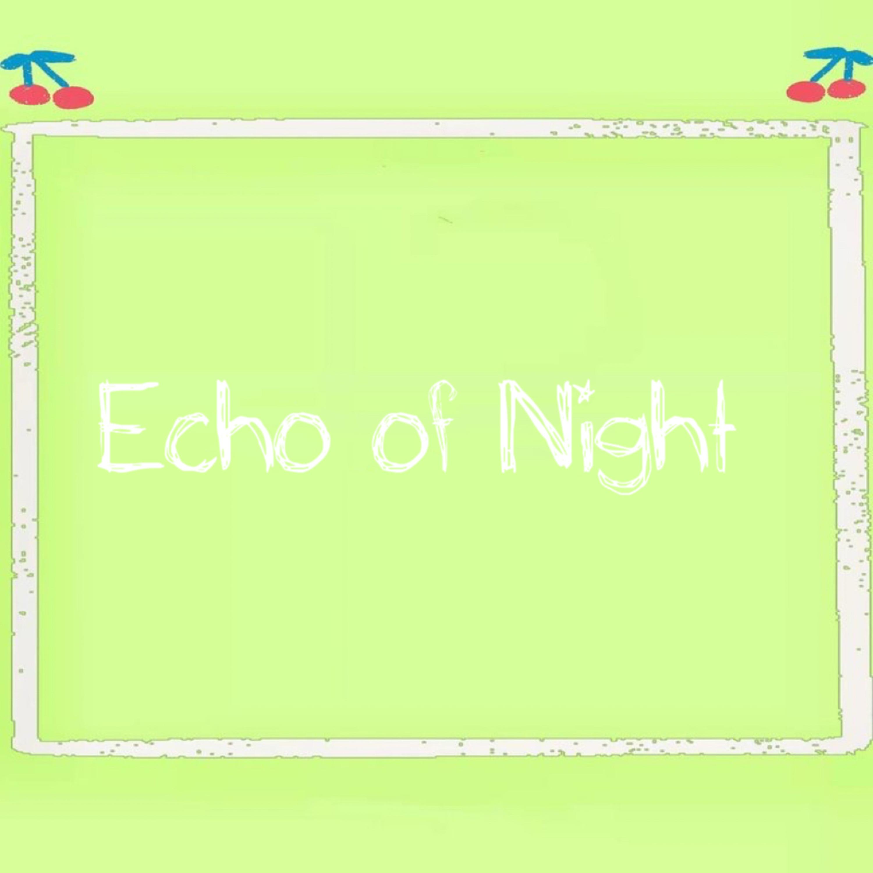 Echo of Night artwork