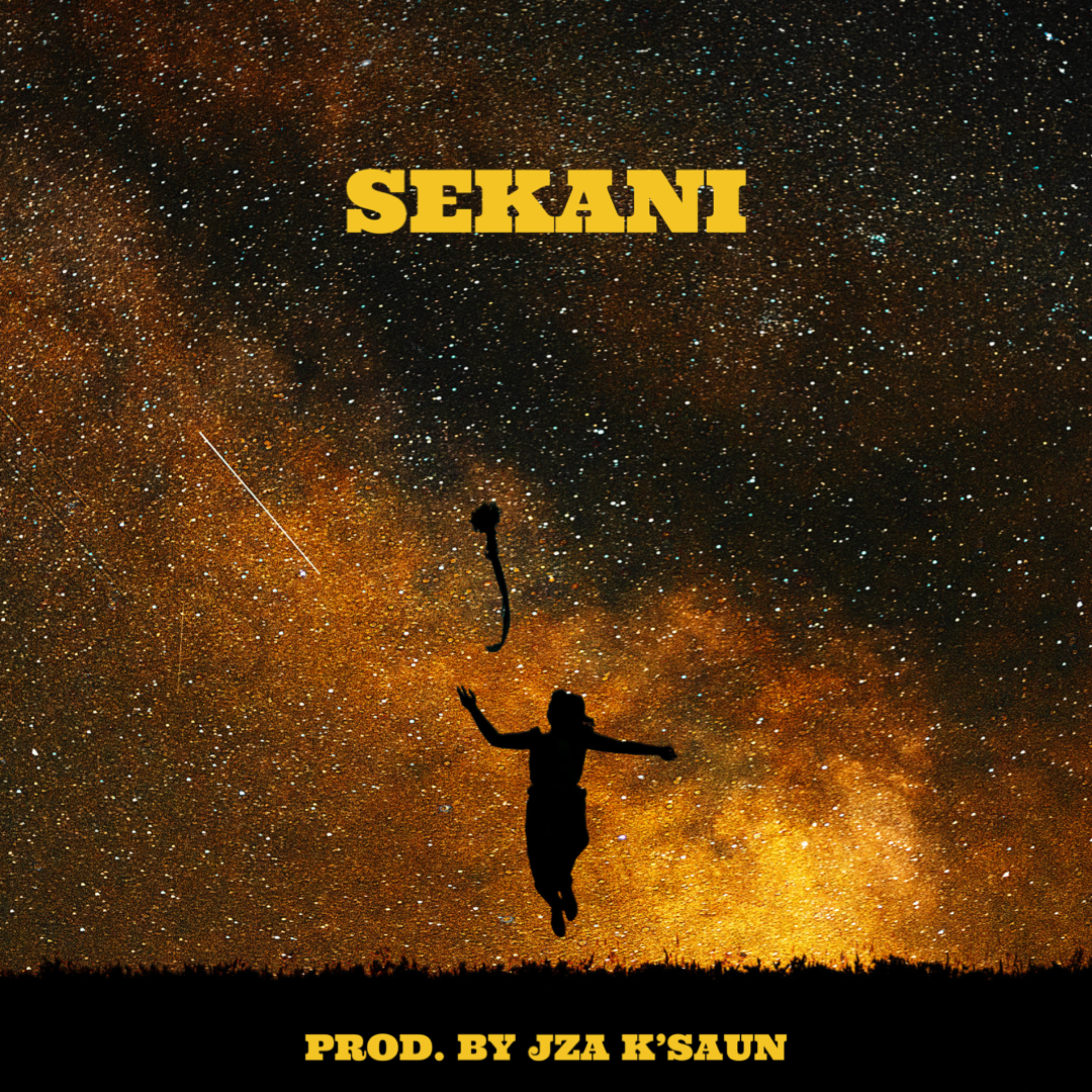 Sekani artwork