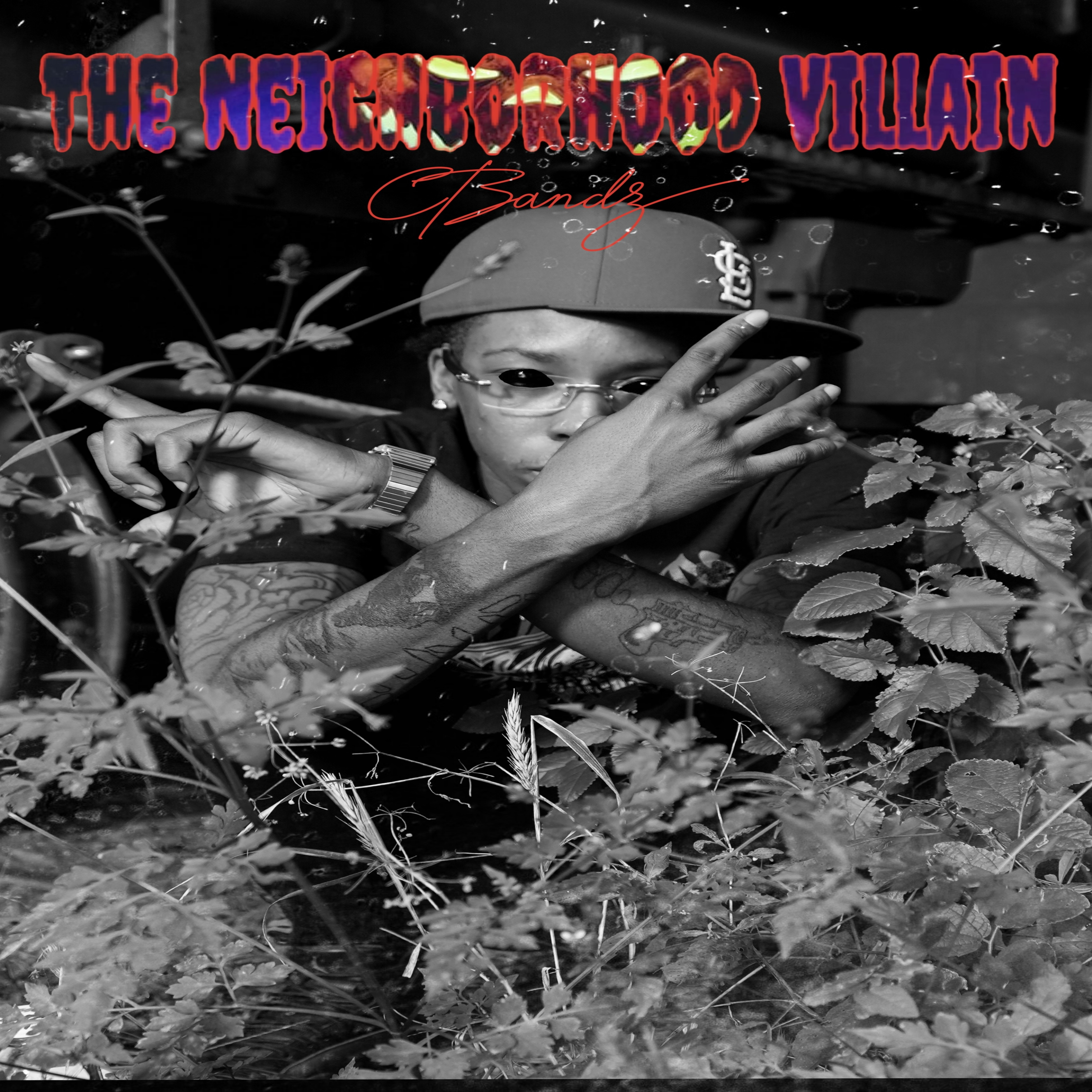 The Neighborhood Villain artwork
