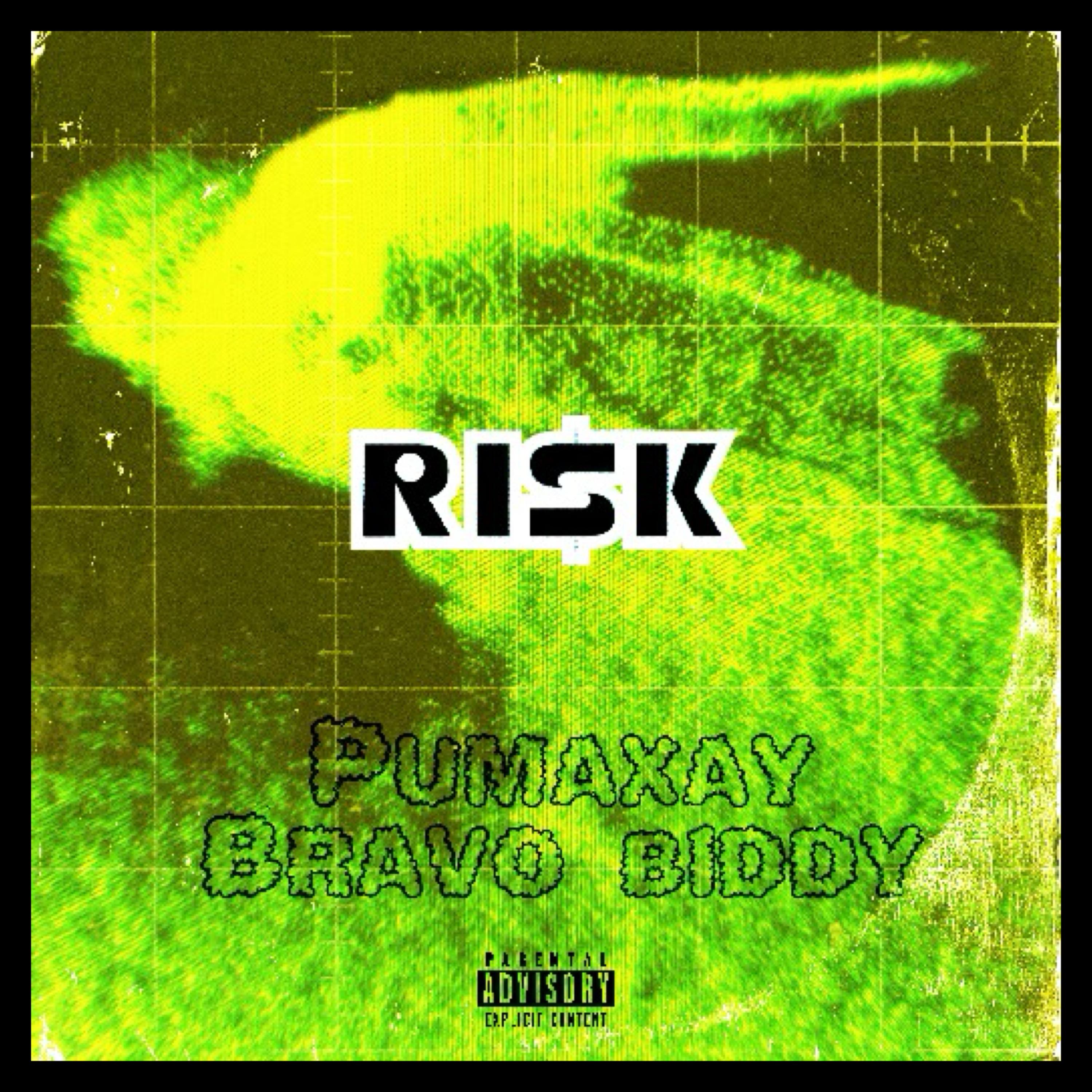 RI$K artwork