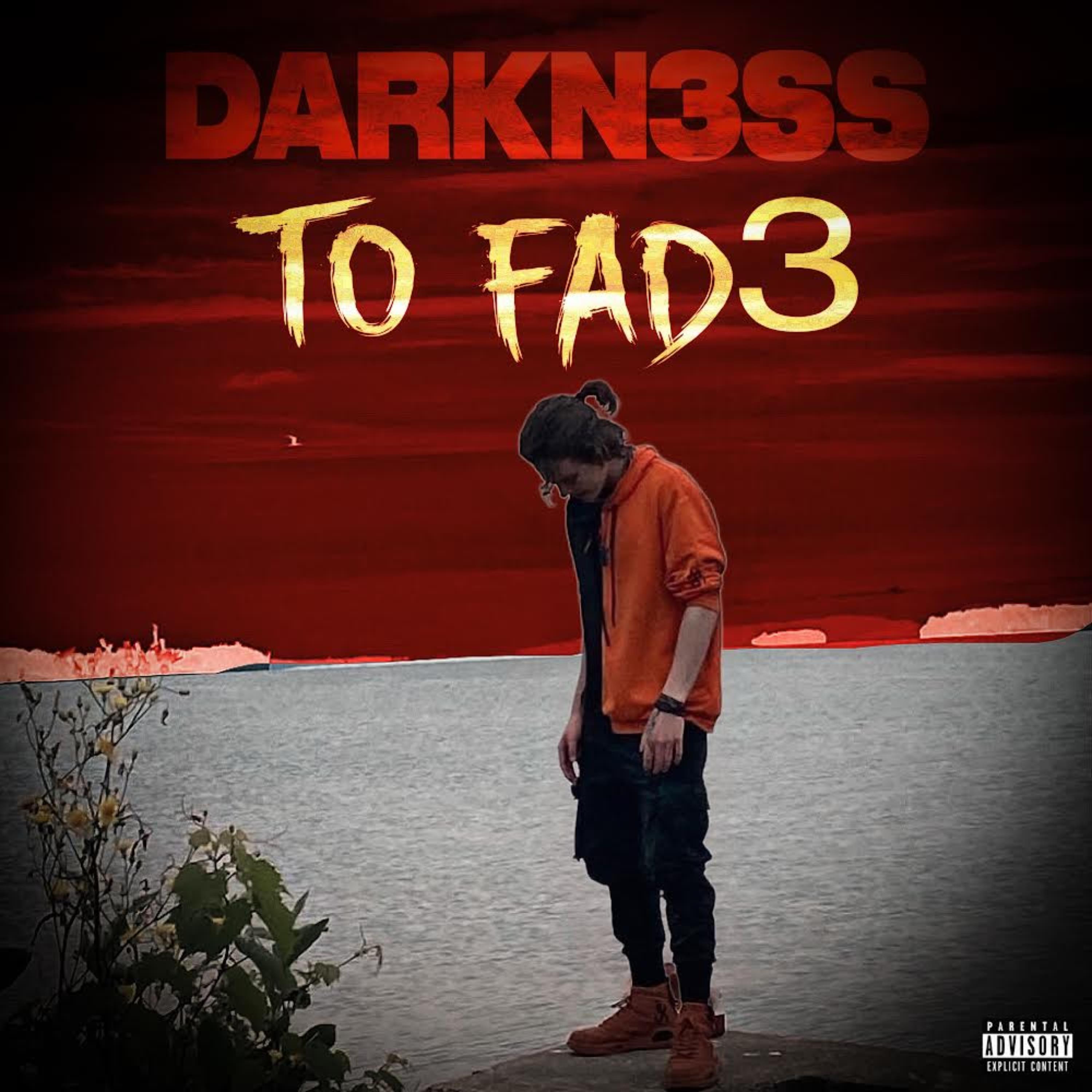 Darkn3ss To Fad3 artwork