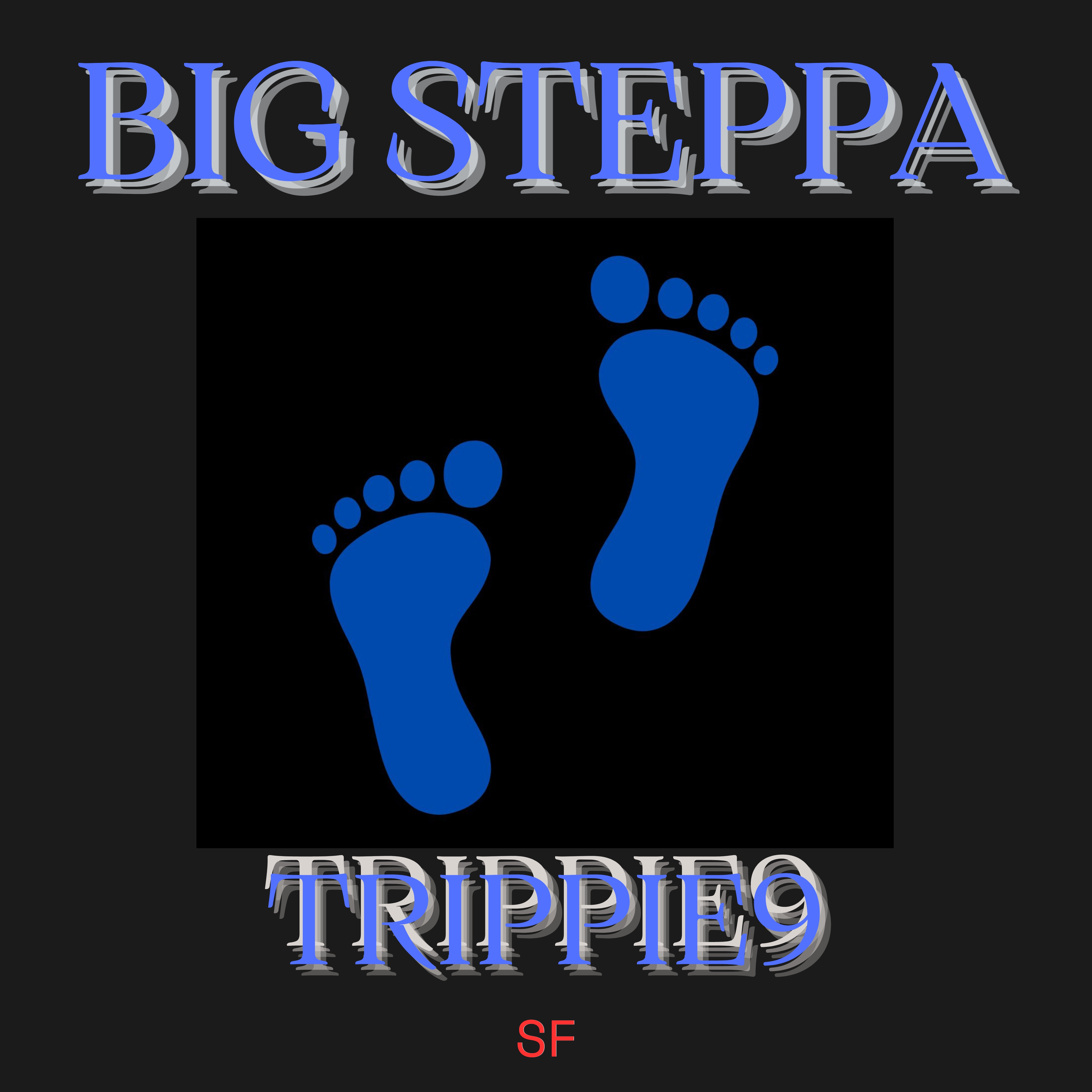 BIG STEPPA artwork