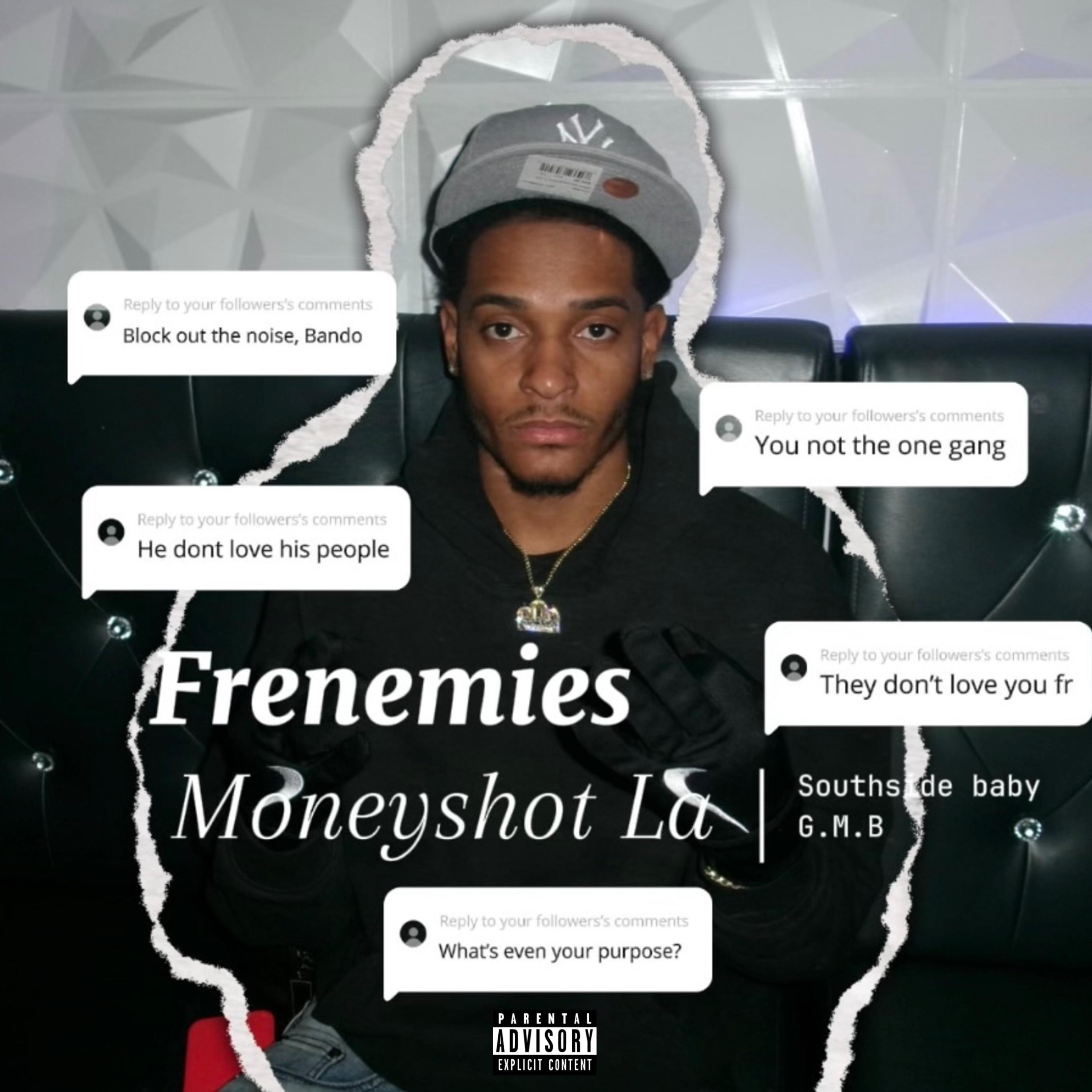 Frenemies artwork