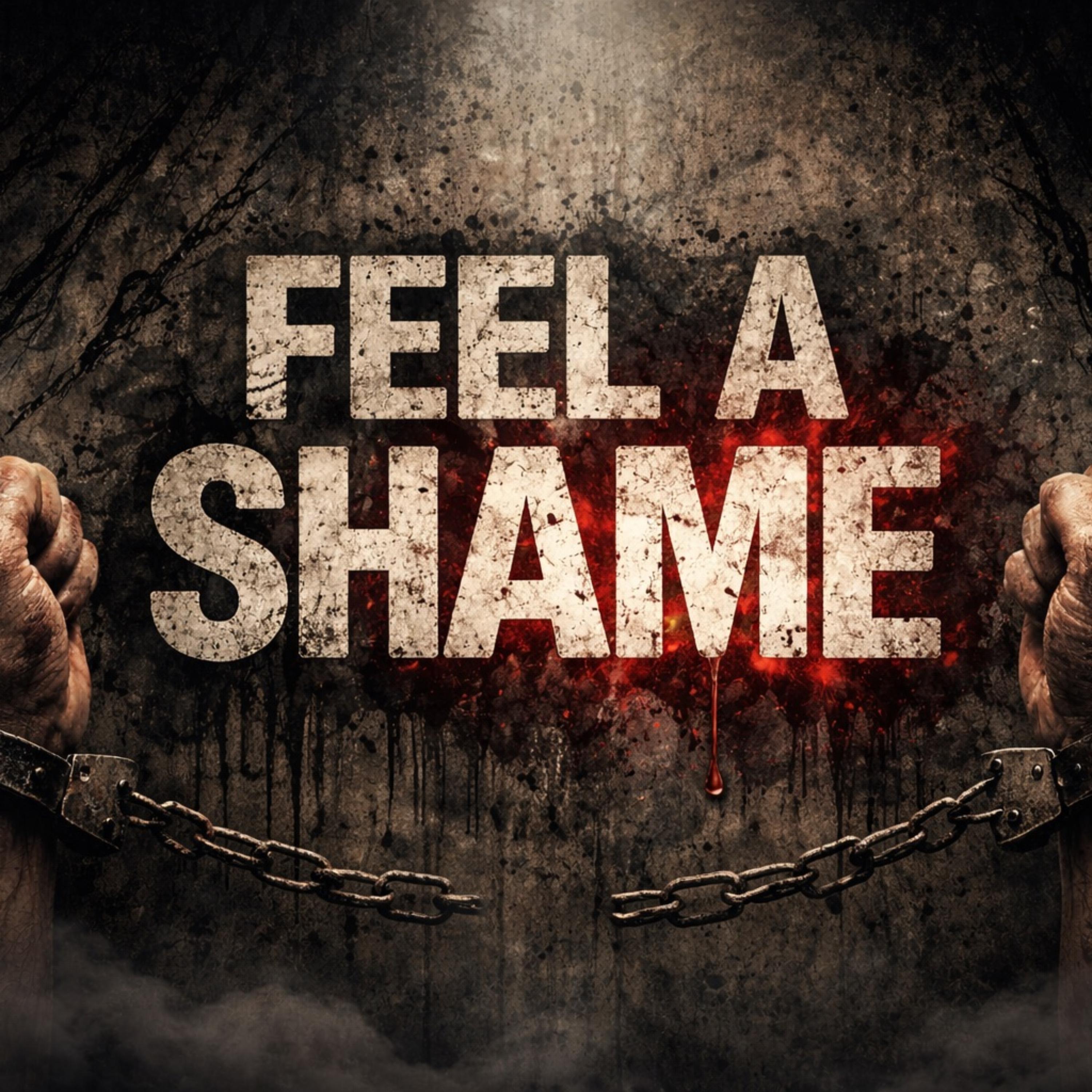Feel A Shame artwork