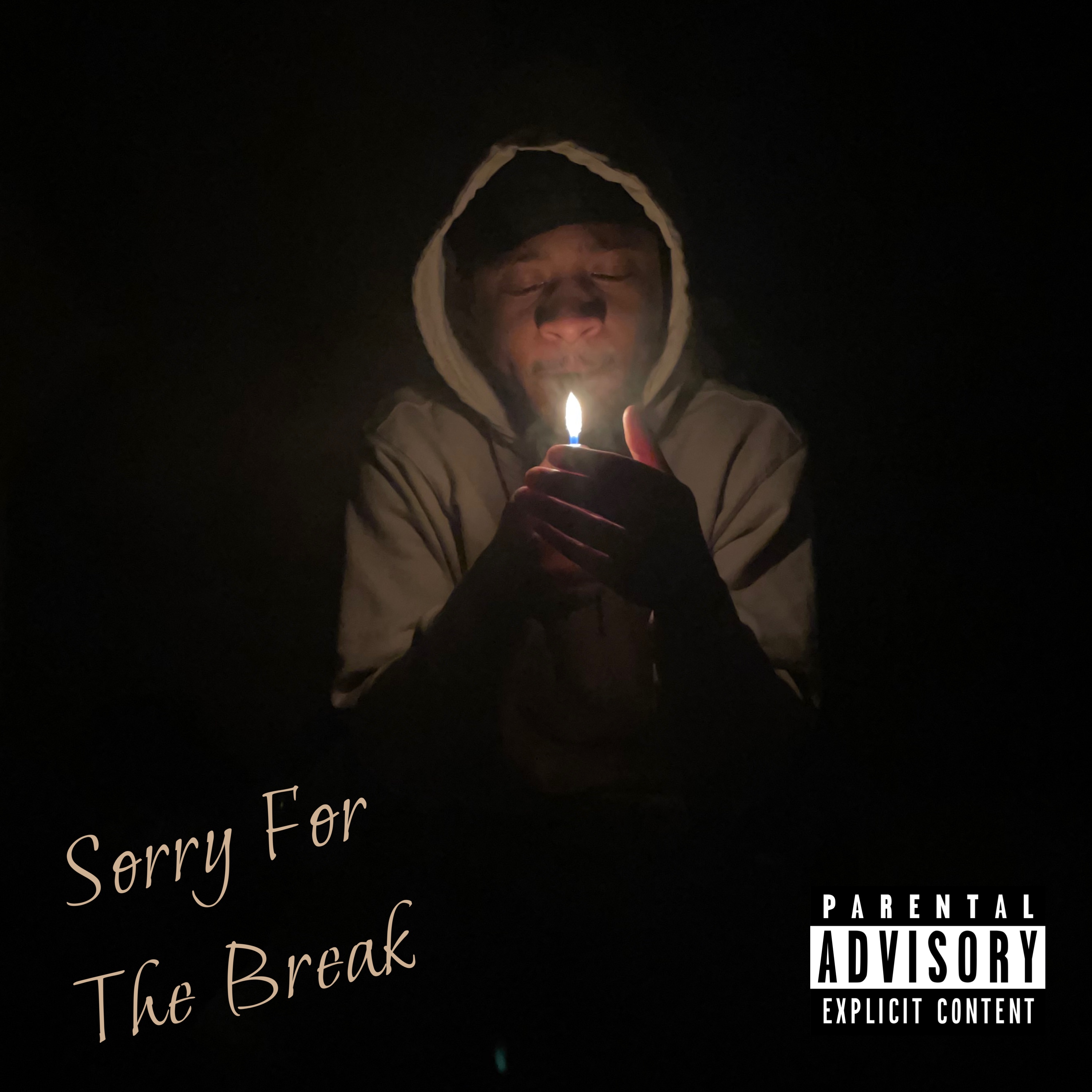 Sorry For The Break artwork