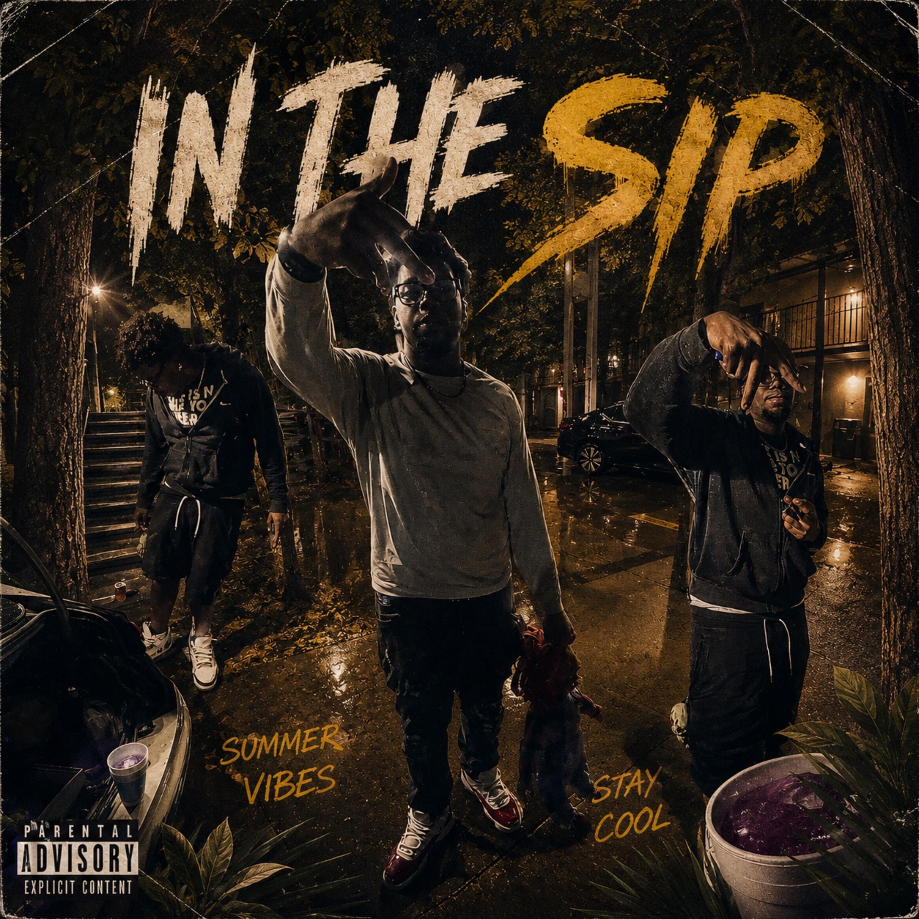 In The SIP by B1G44 cover art