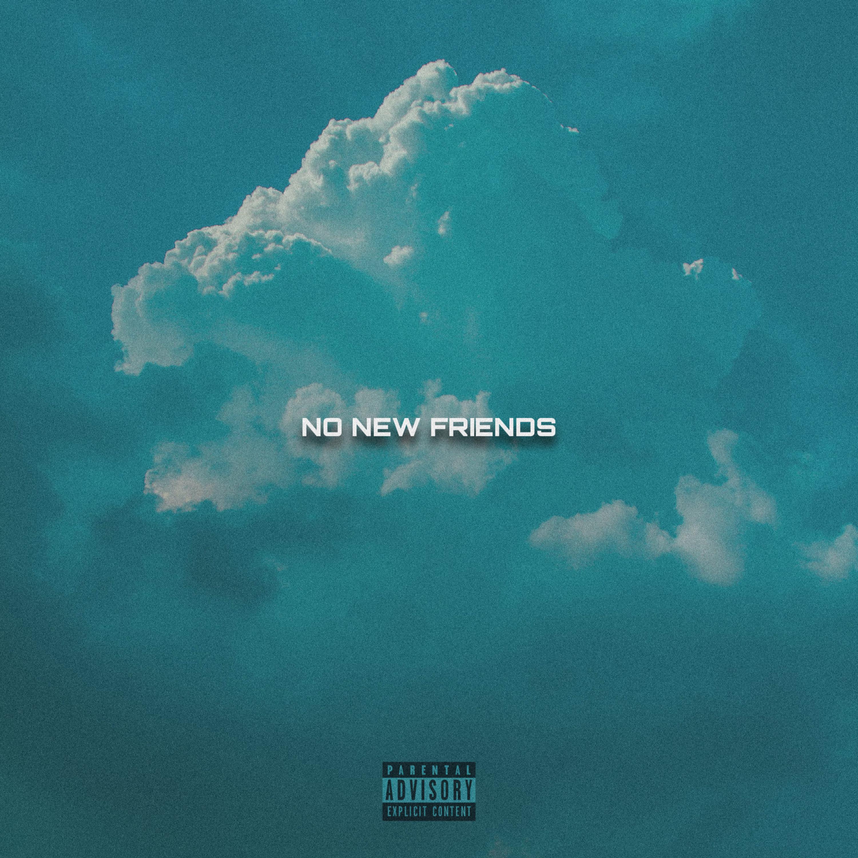 NO NEW FRIENDS artwork