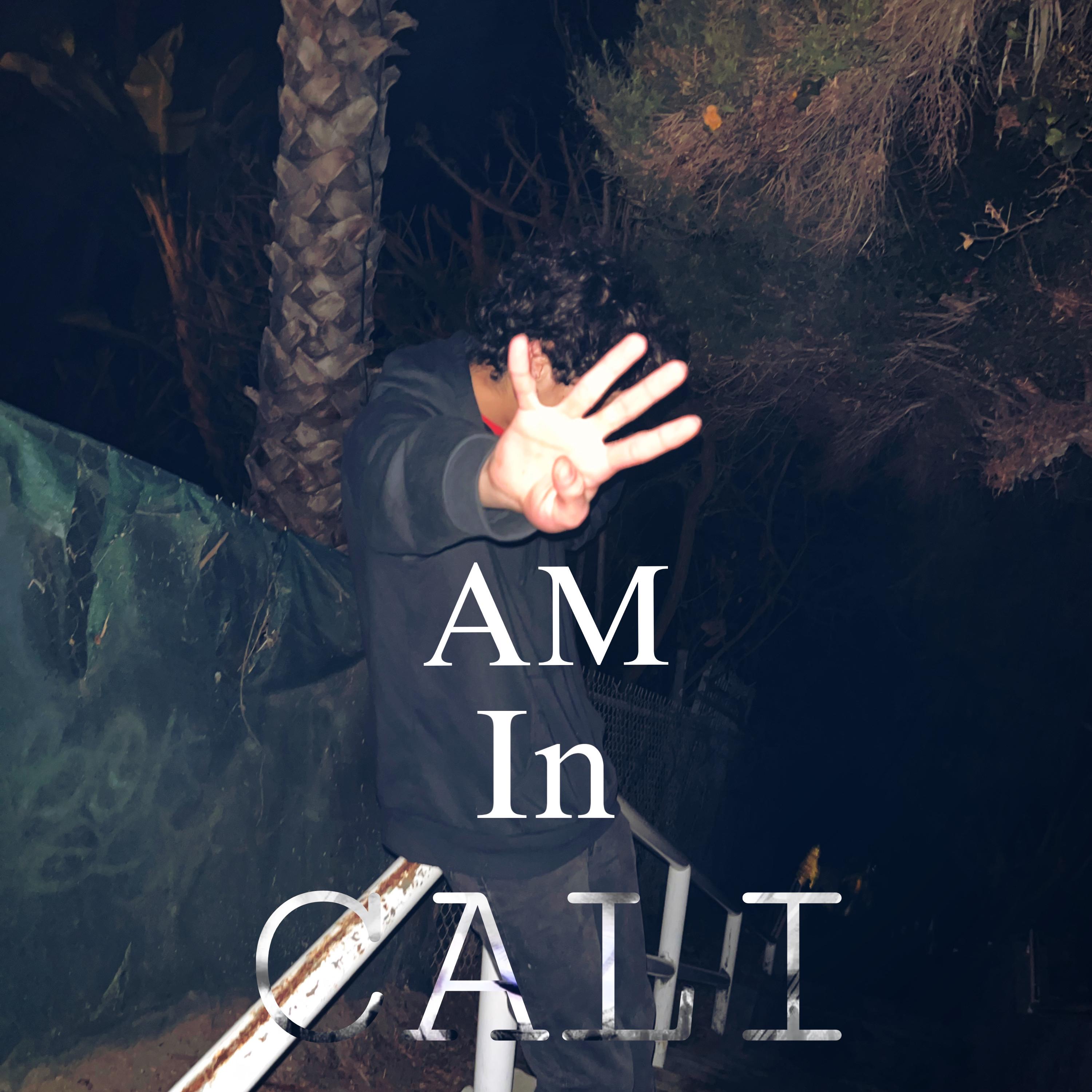 4AM IN CALI artwork