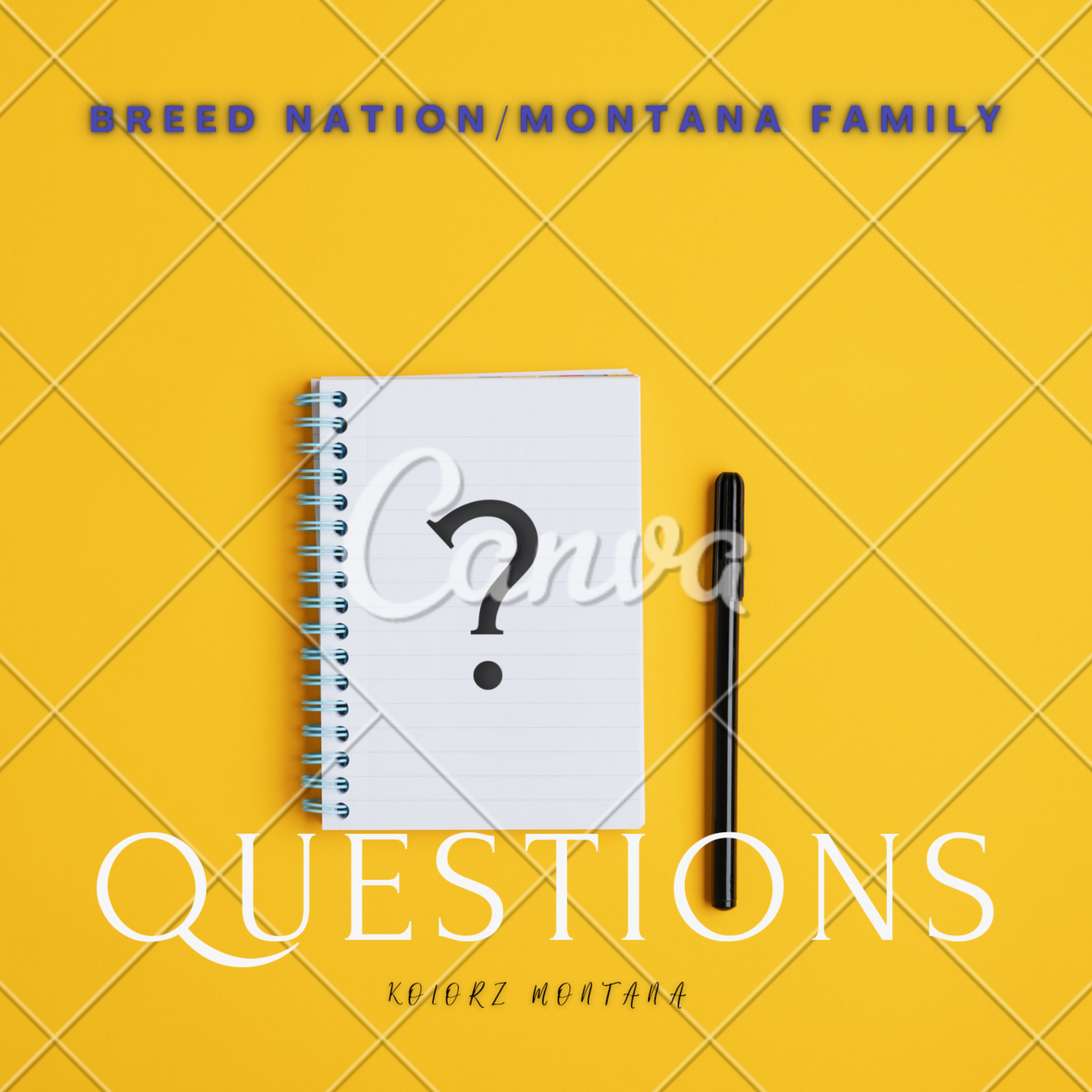 Questions artwork