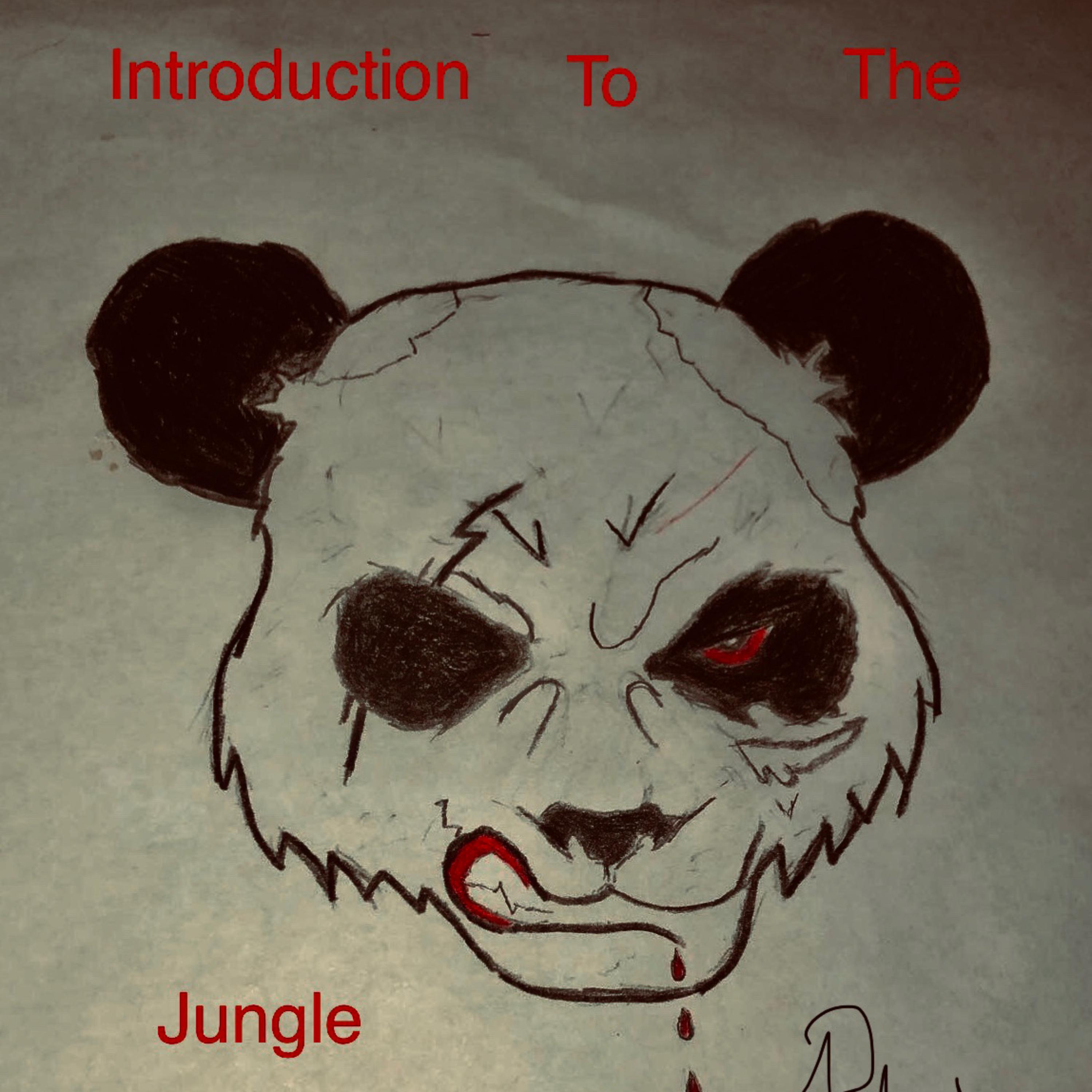 Introduction To The Jungle artwork