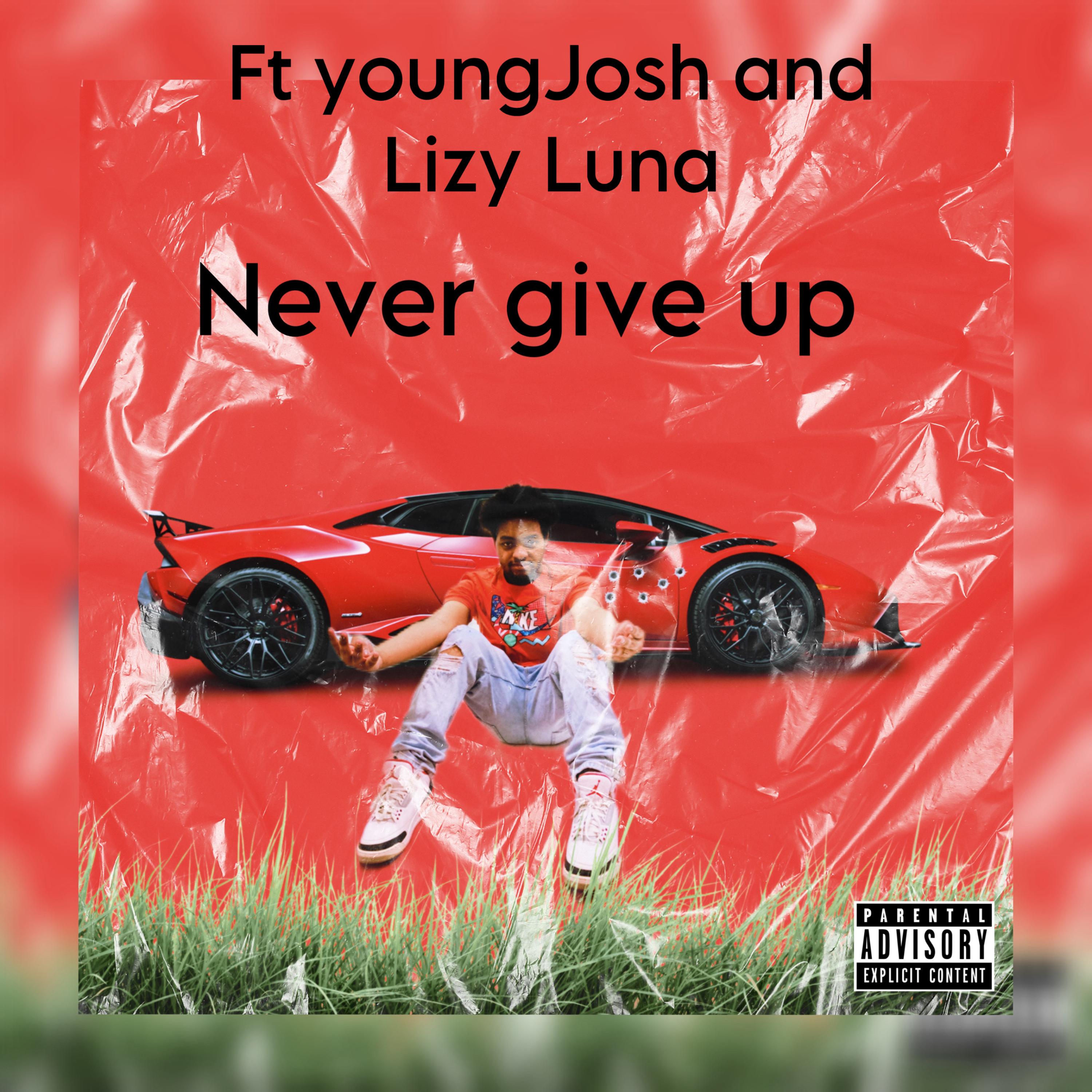 Never give up artwork