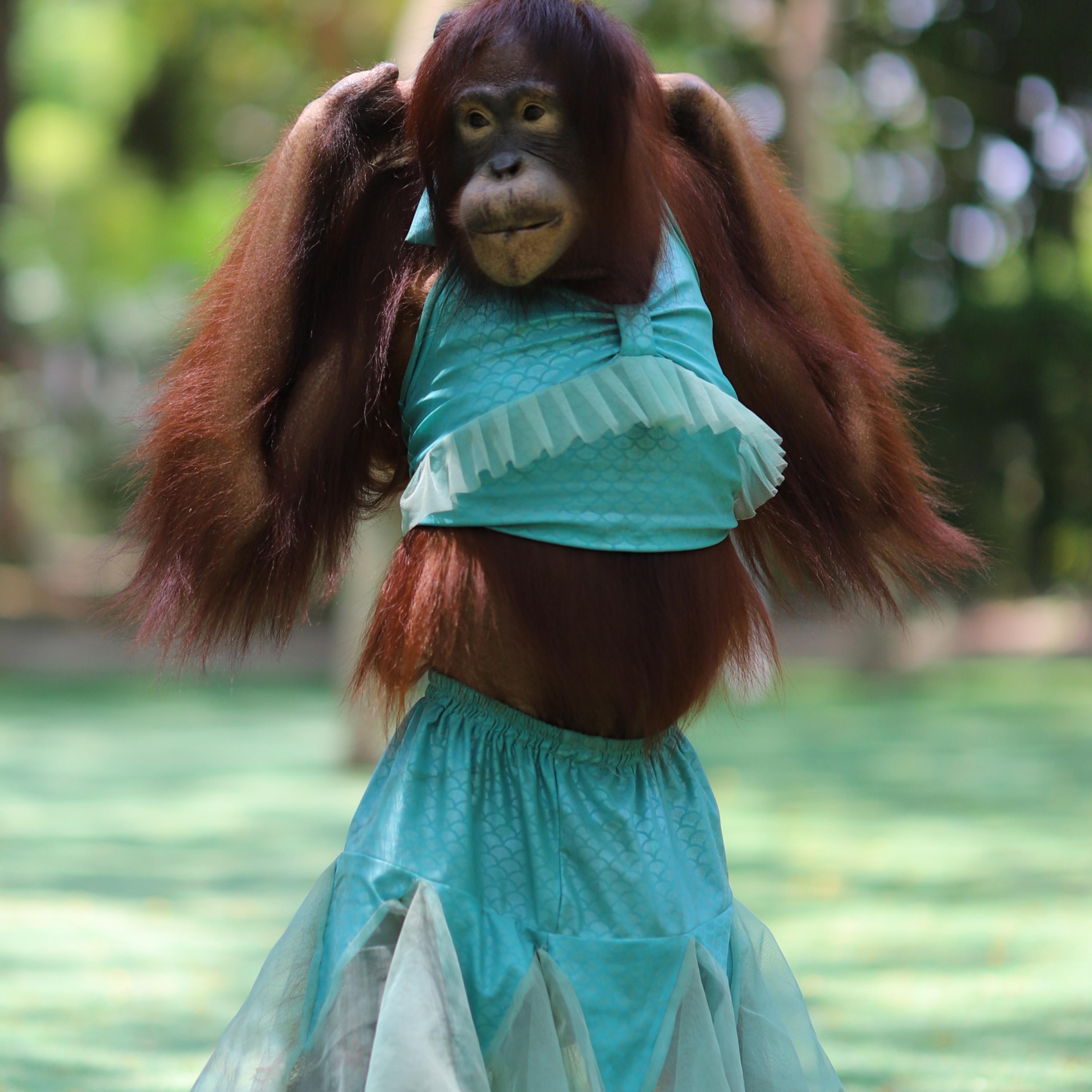 Ella lo Mueve artwork