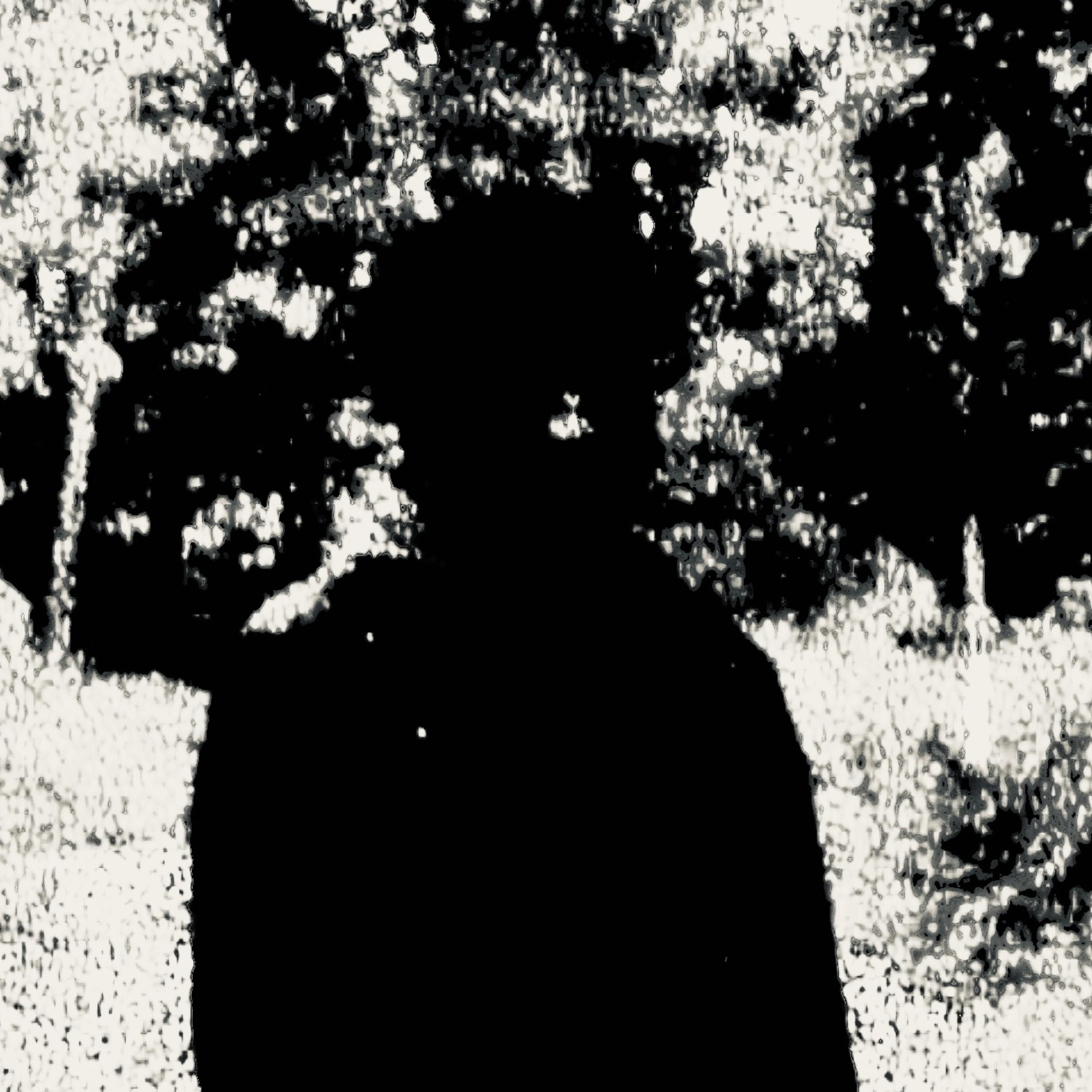 HAPPY BELATED artwork