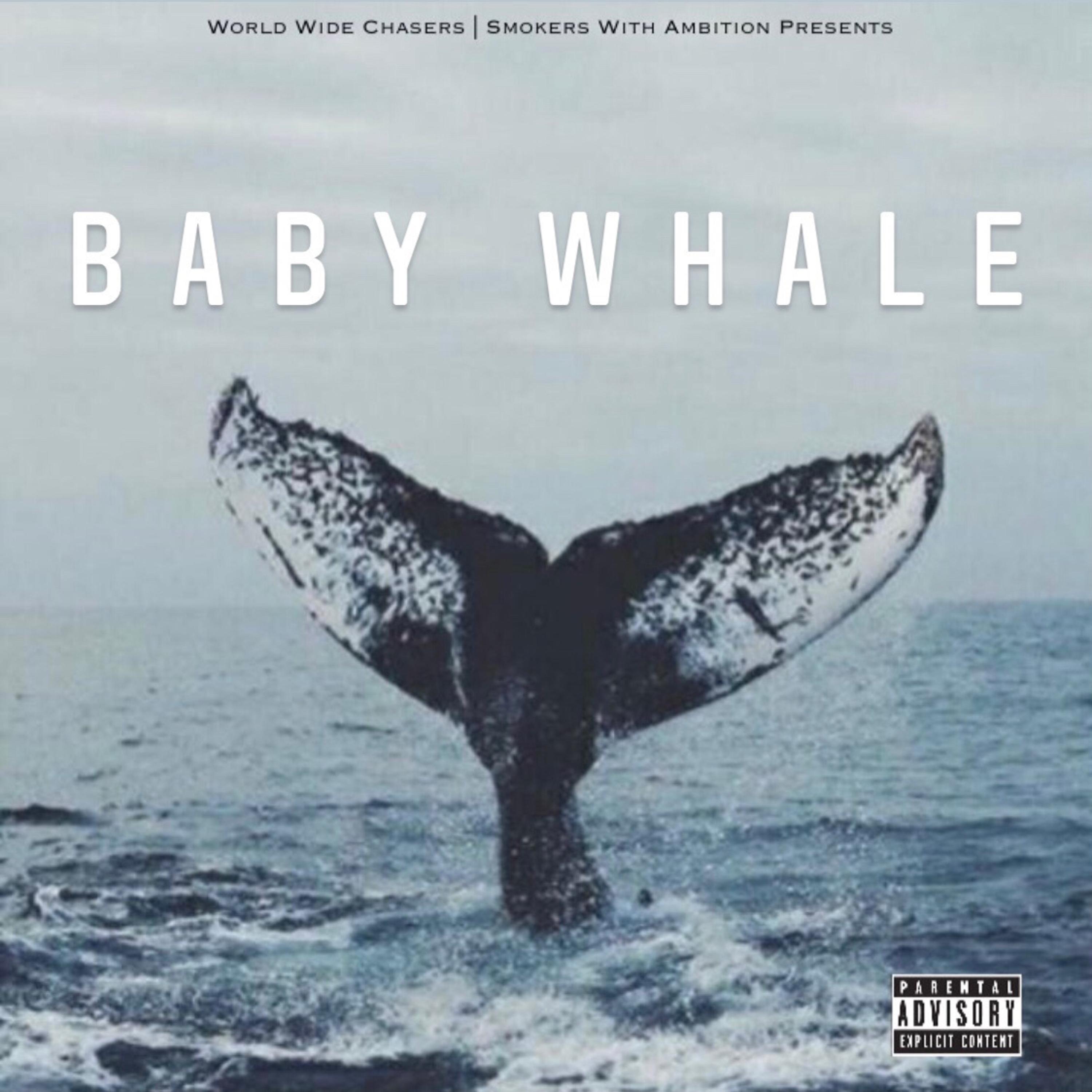Baby Whale artwork
