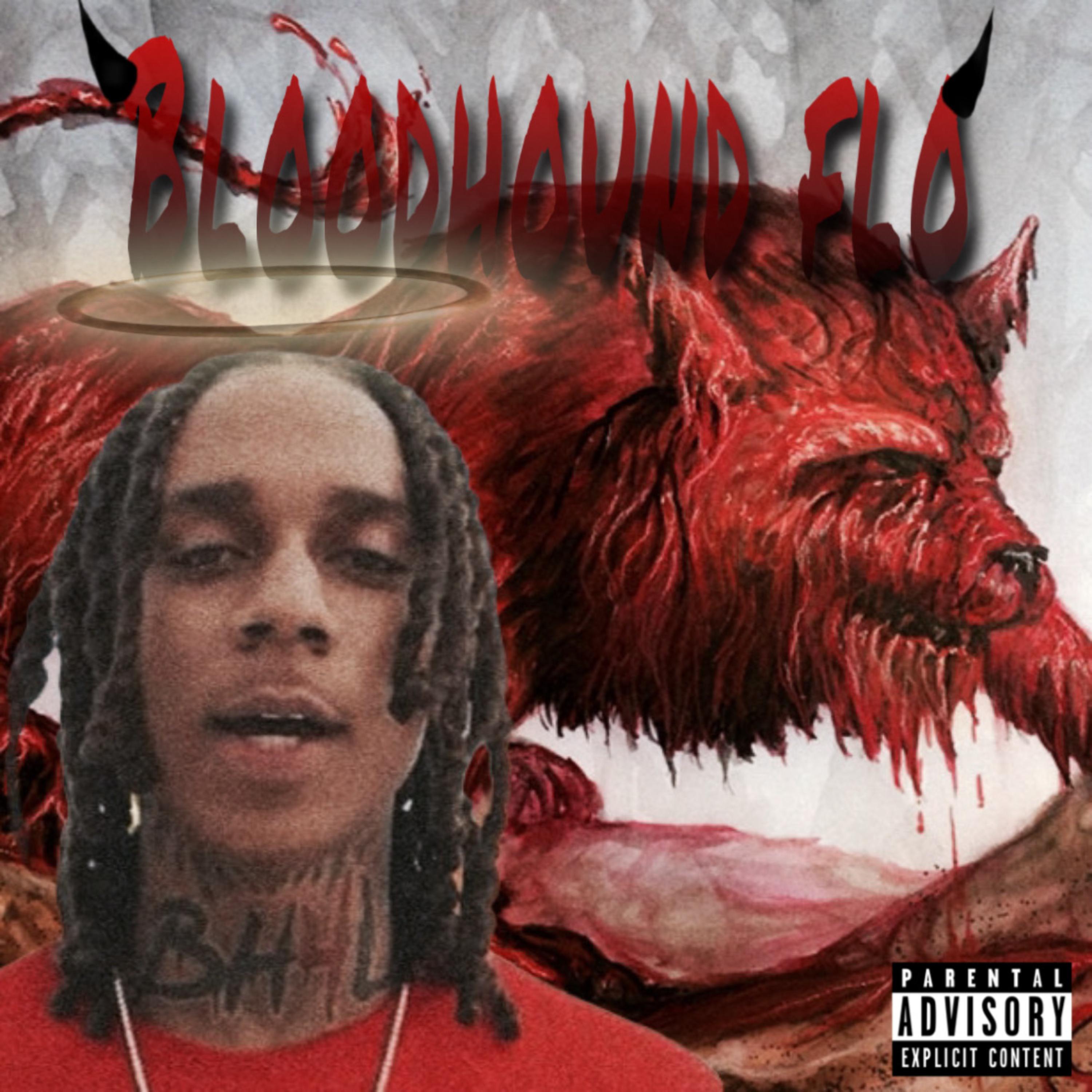 Bloodhound Flo artwork