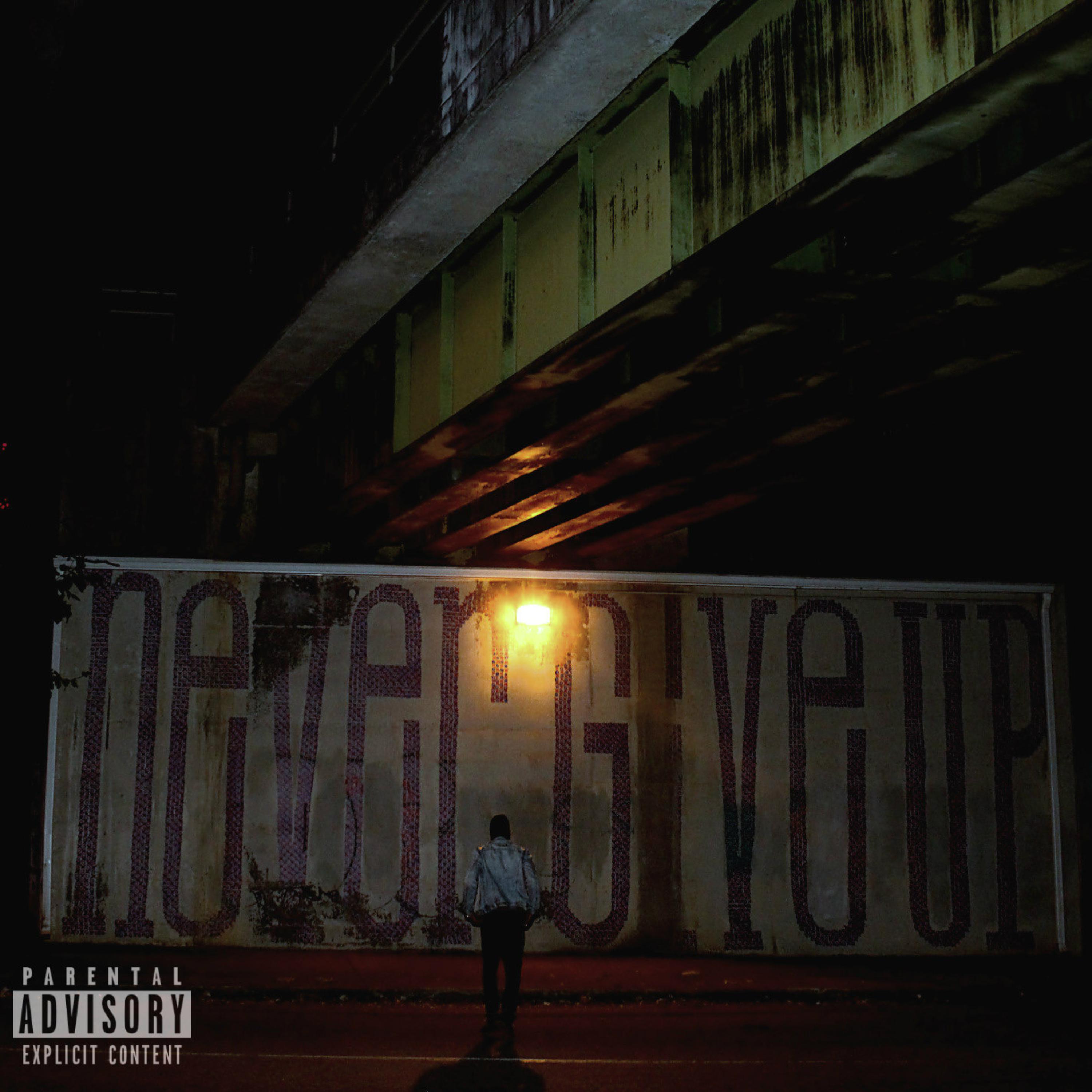 Never Give Up artwork