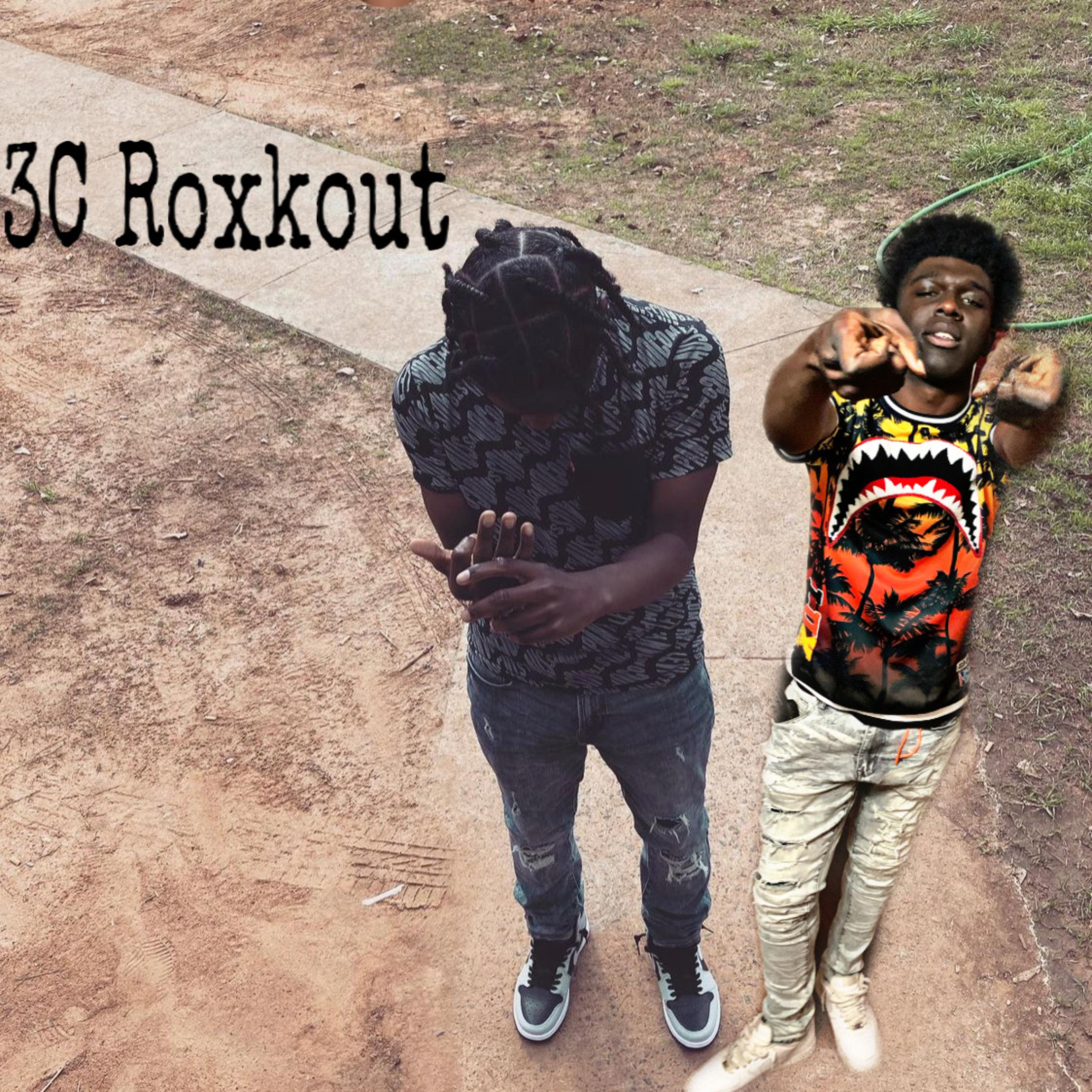 Fuck the Opps artwork