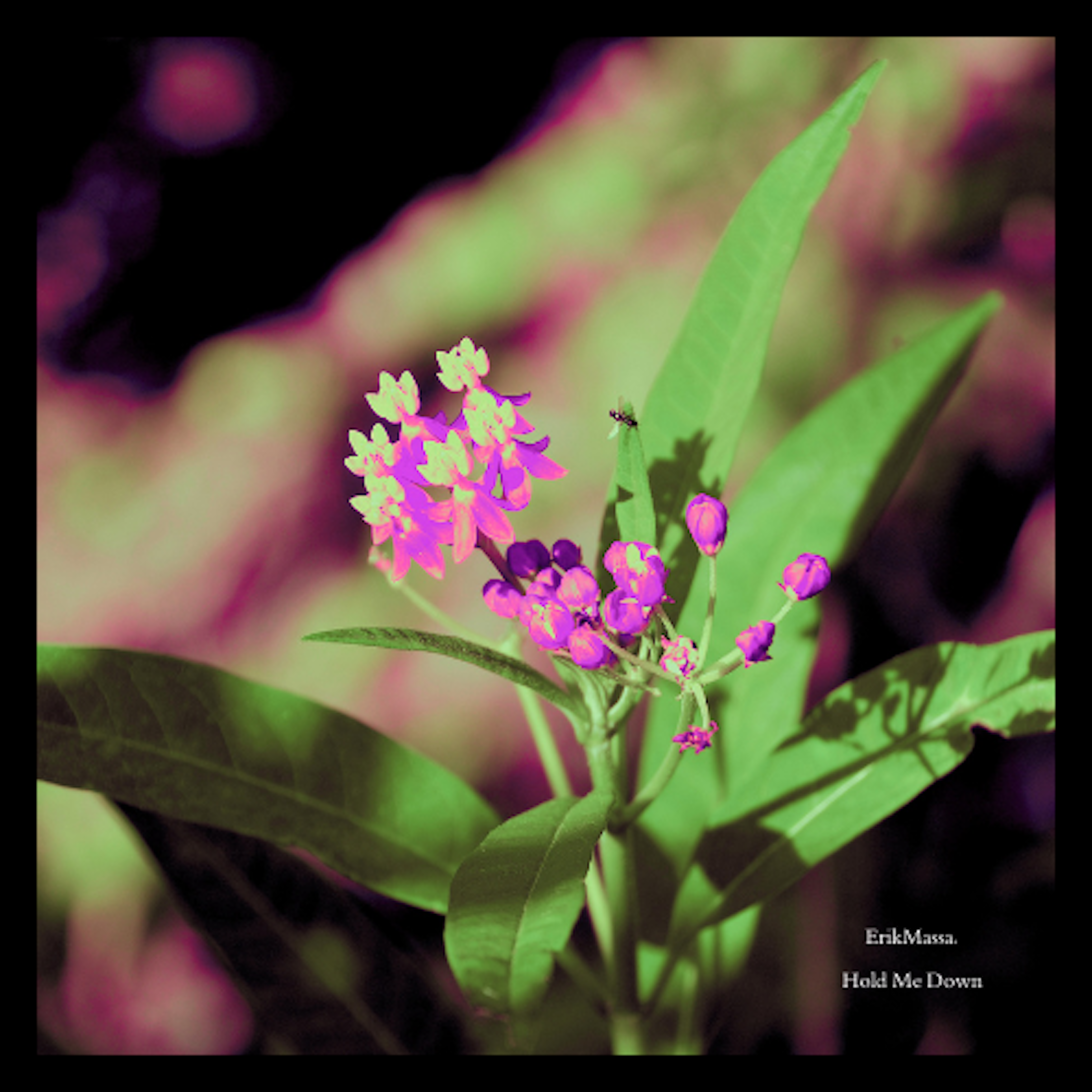 Hold Me Down artwork