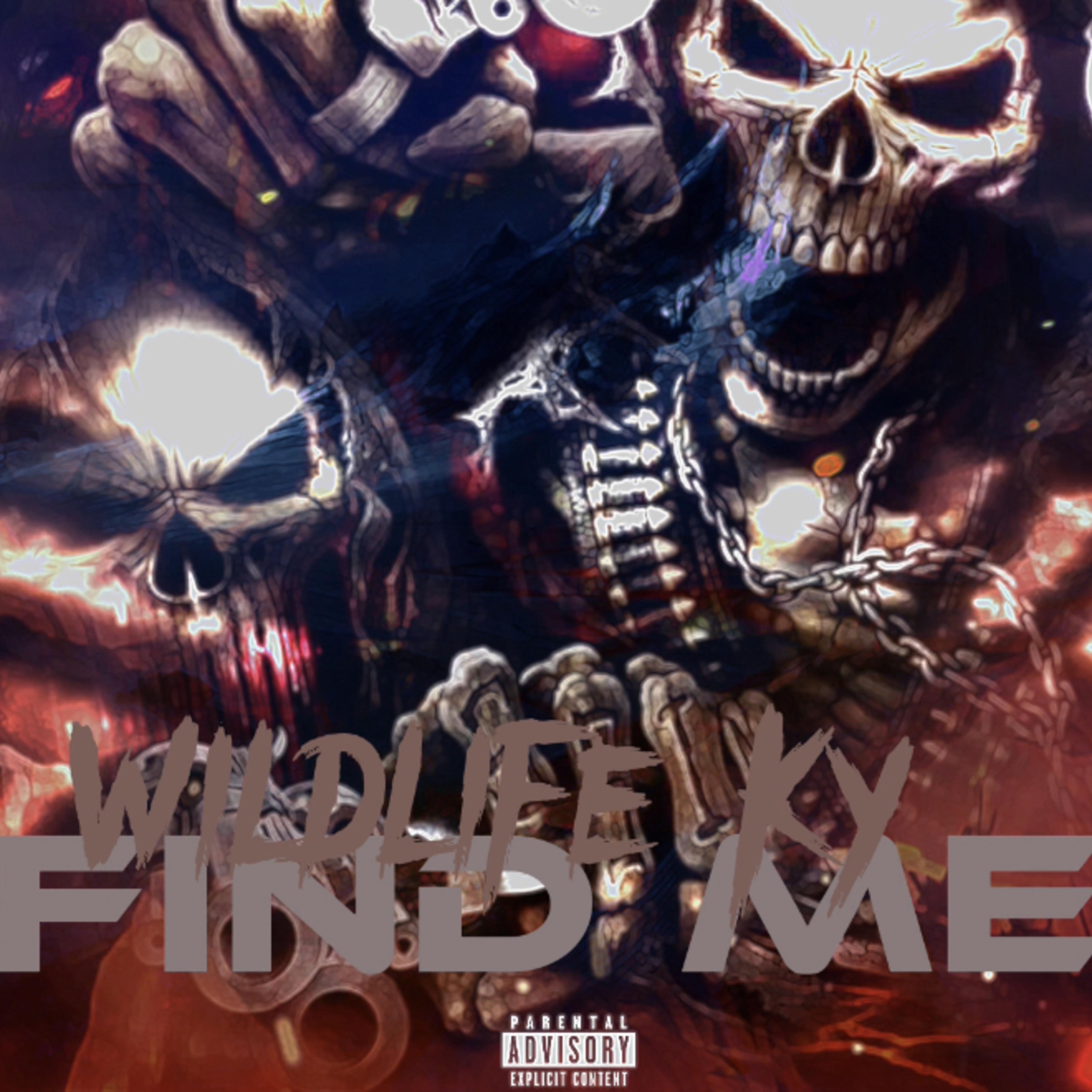 Find Me artwork