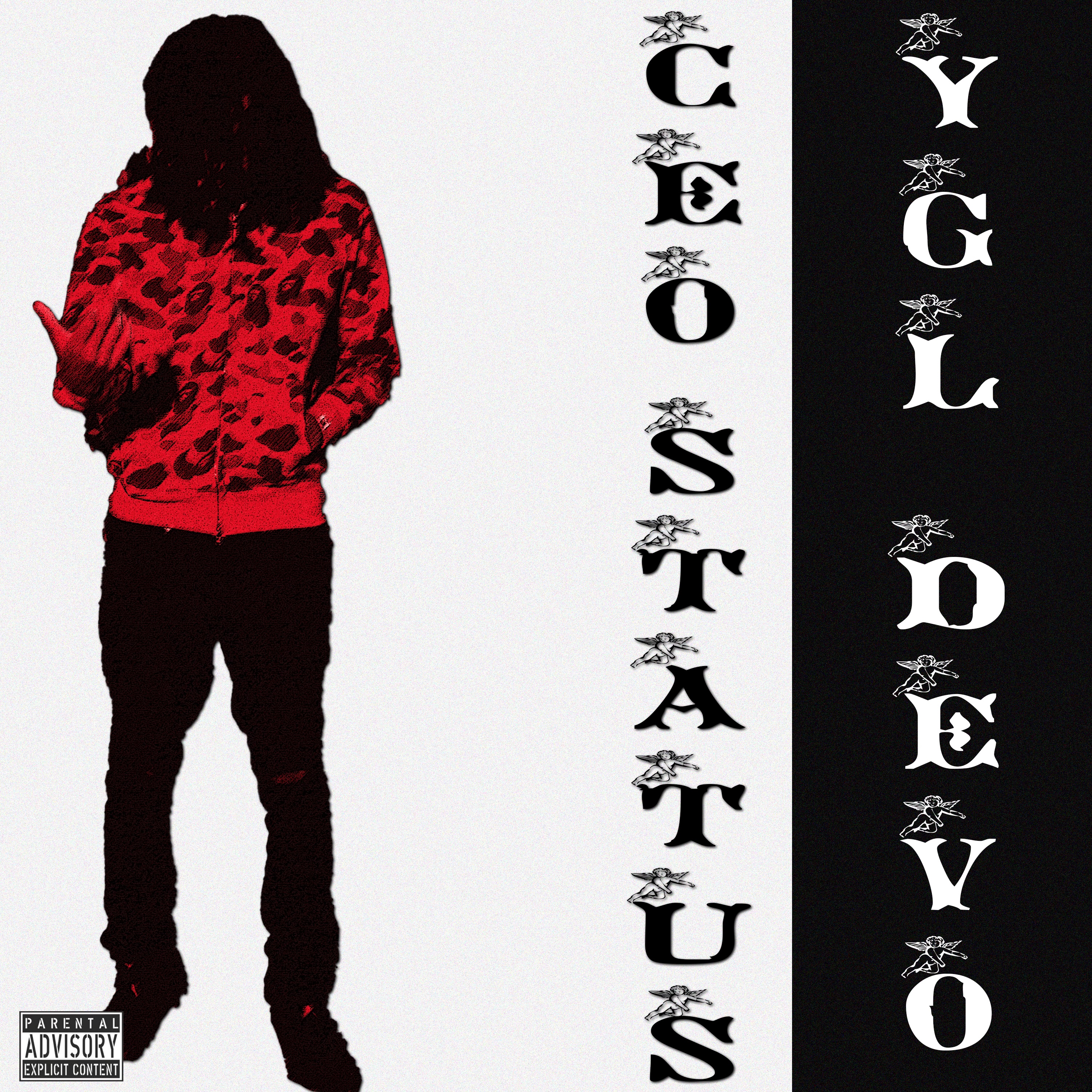 CEO STATUS artwork