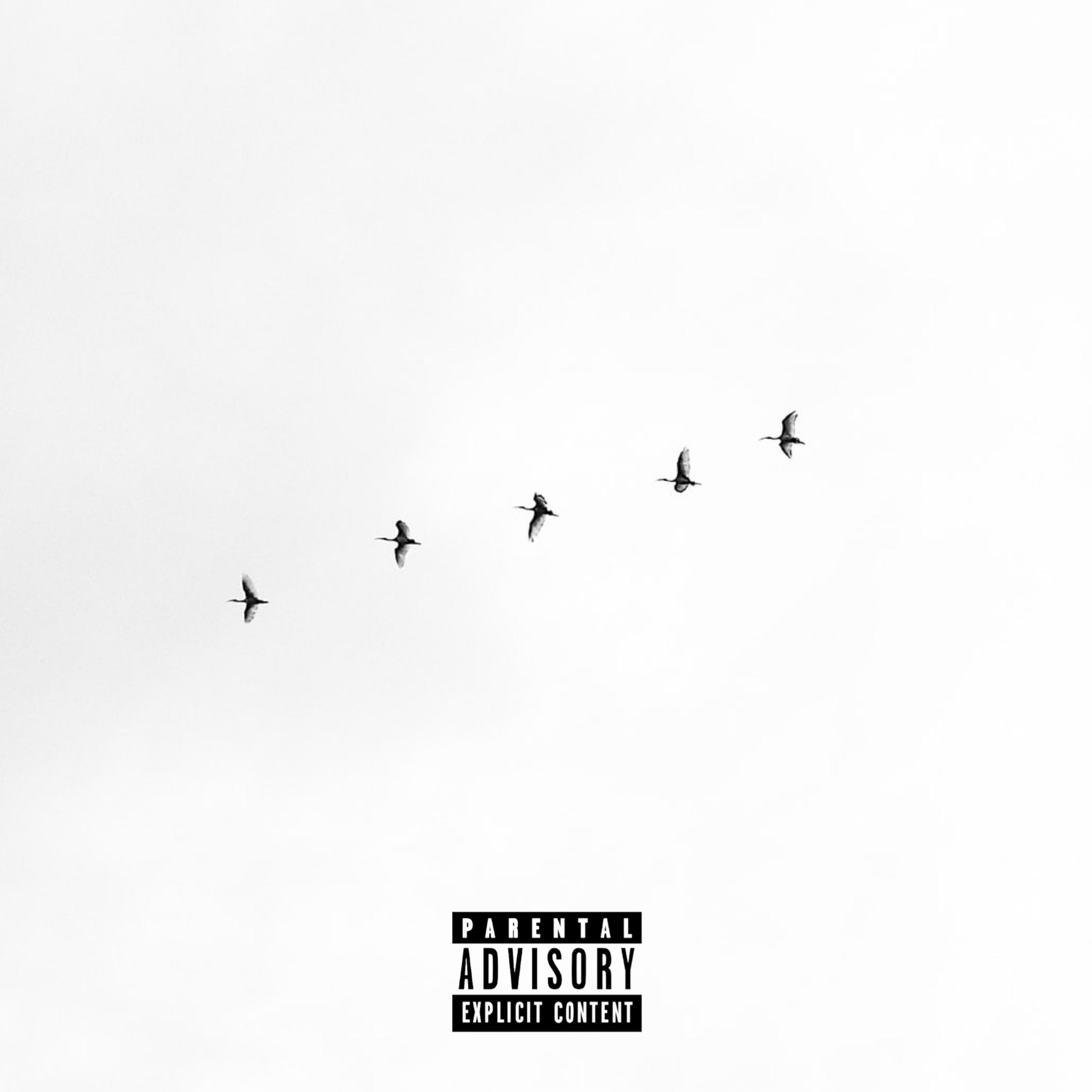 NO CELEBRATION artwork