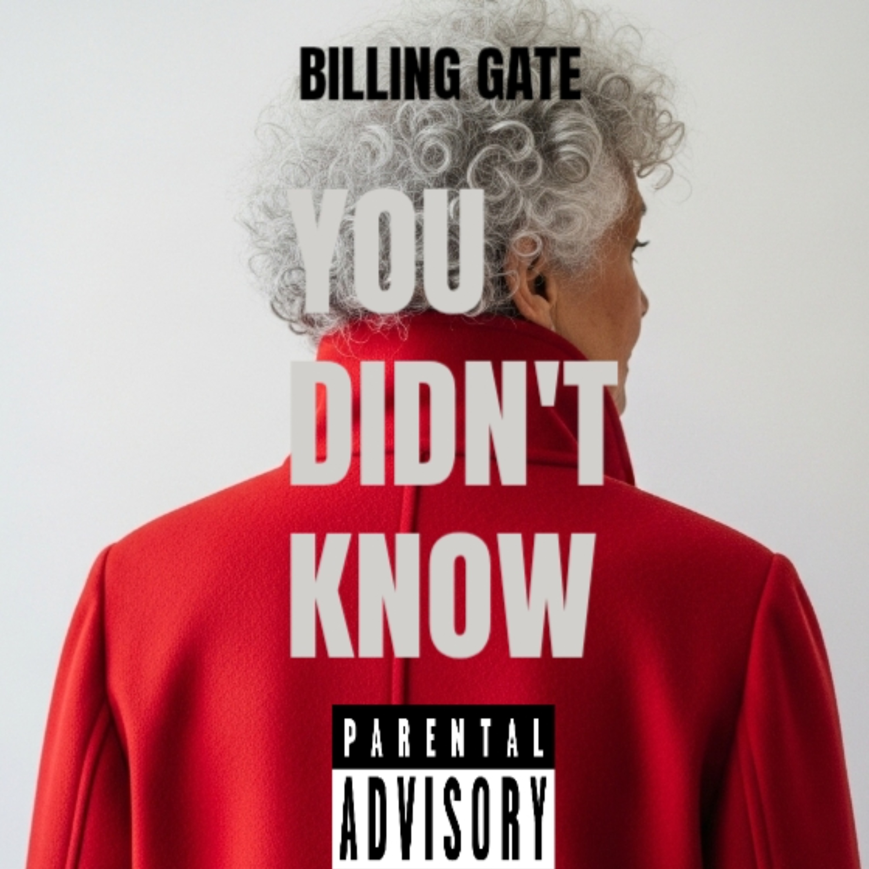 YOU DIDN'T KNOW artwork
