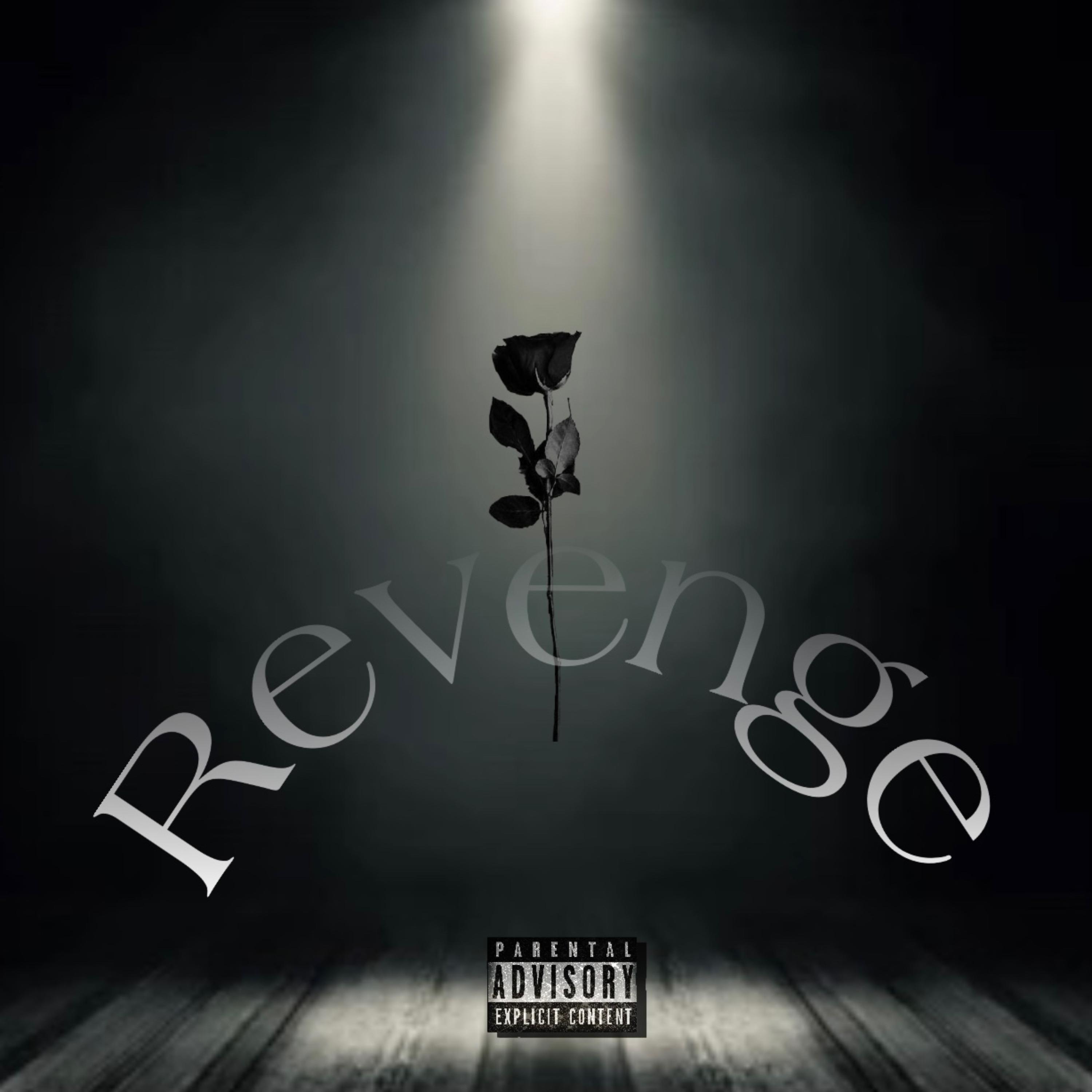 Revenge artwork