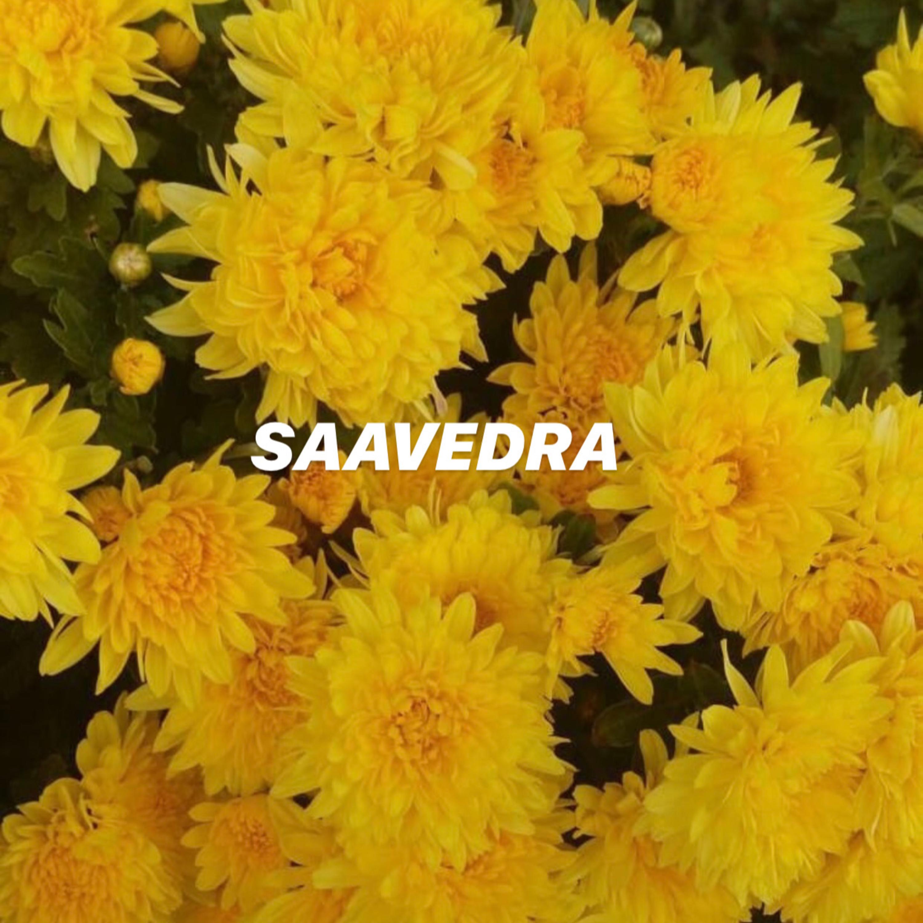 SAAVEDRA artwork