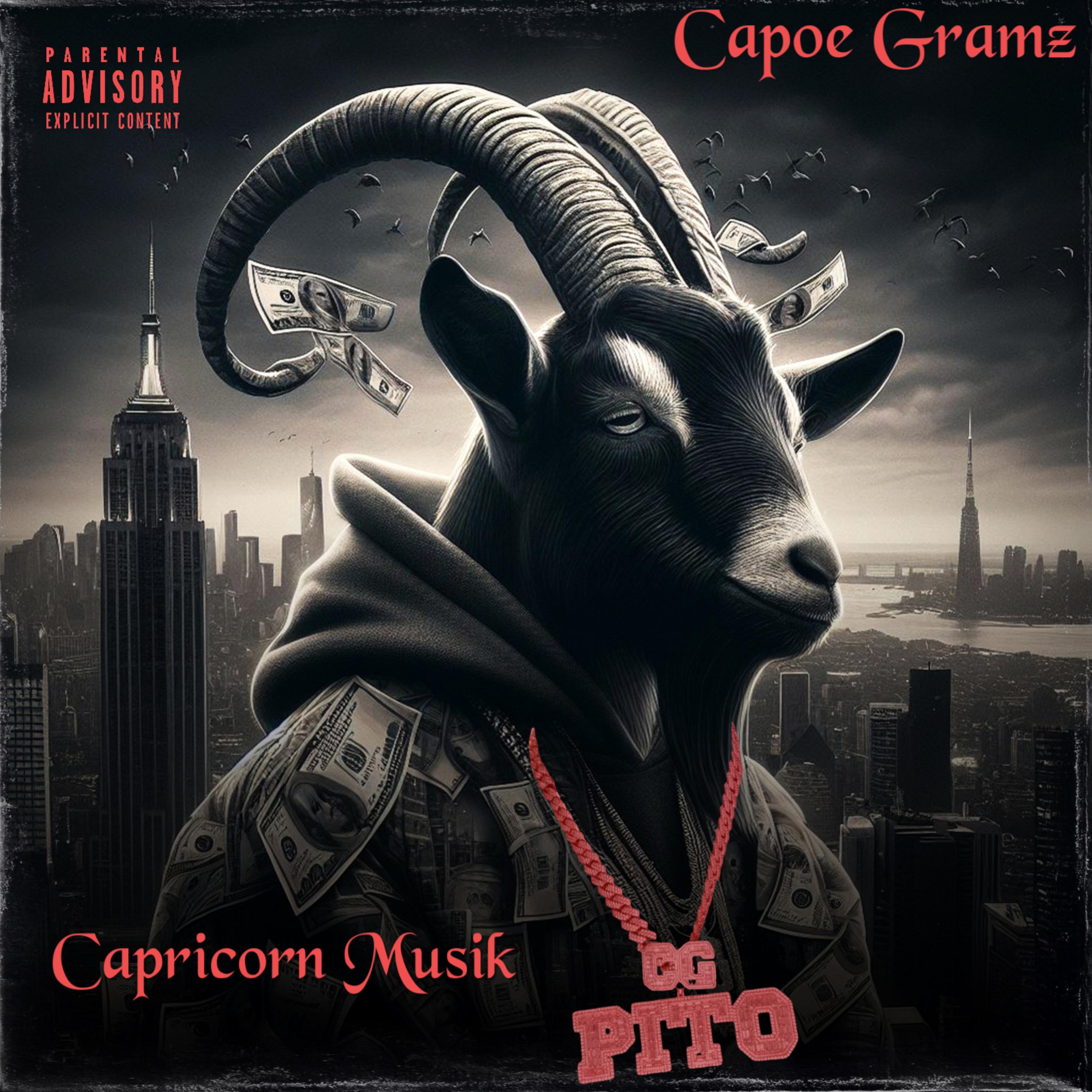 Capricorn Musik artwork