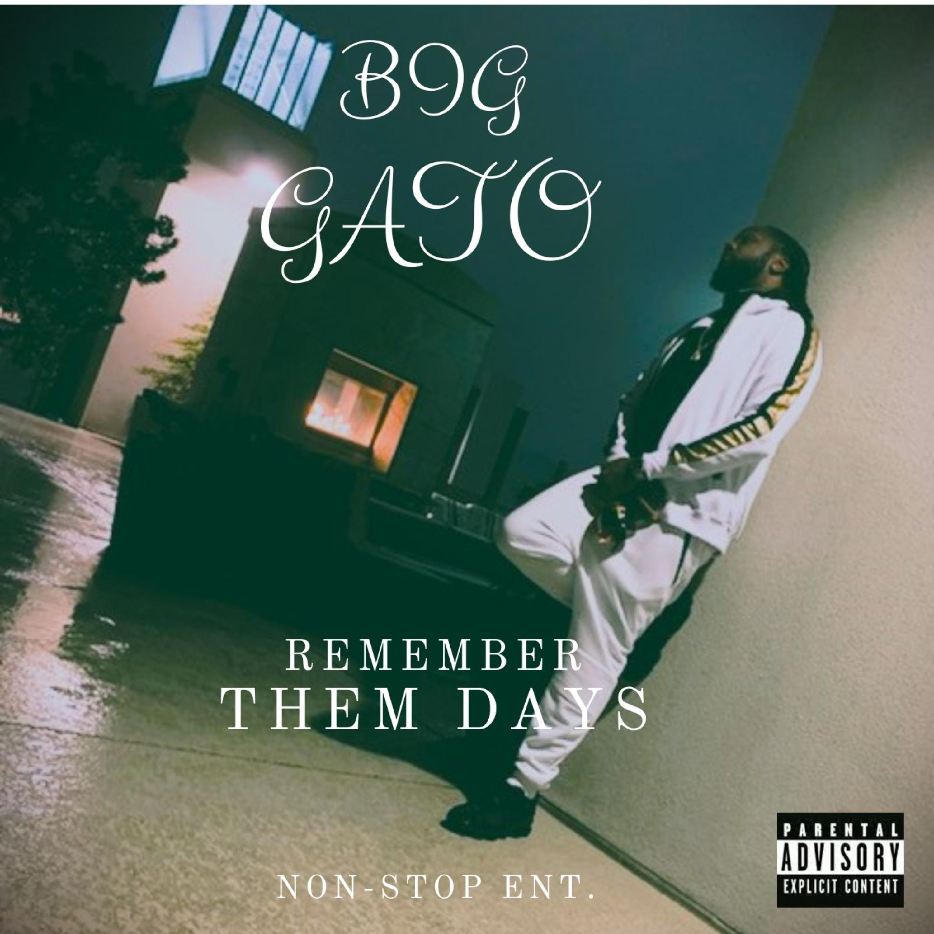 Remember Them Days by Big Gato cover art