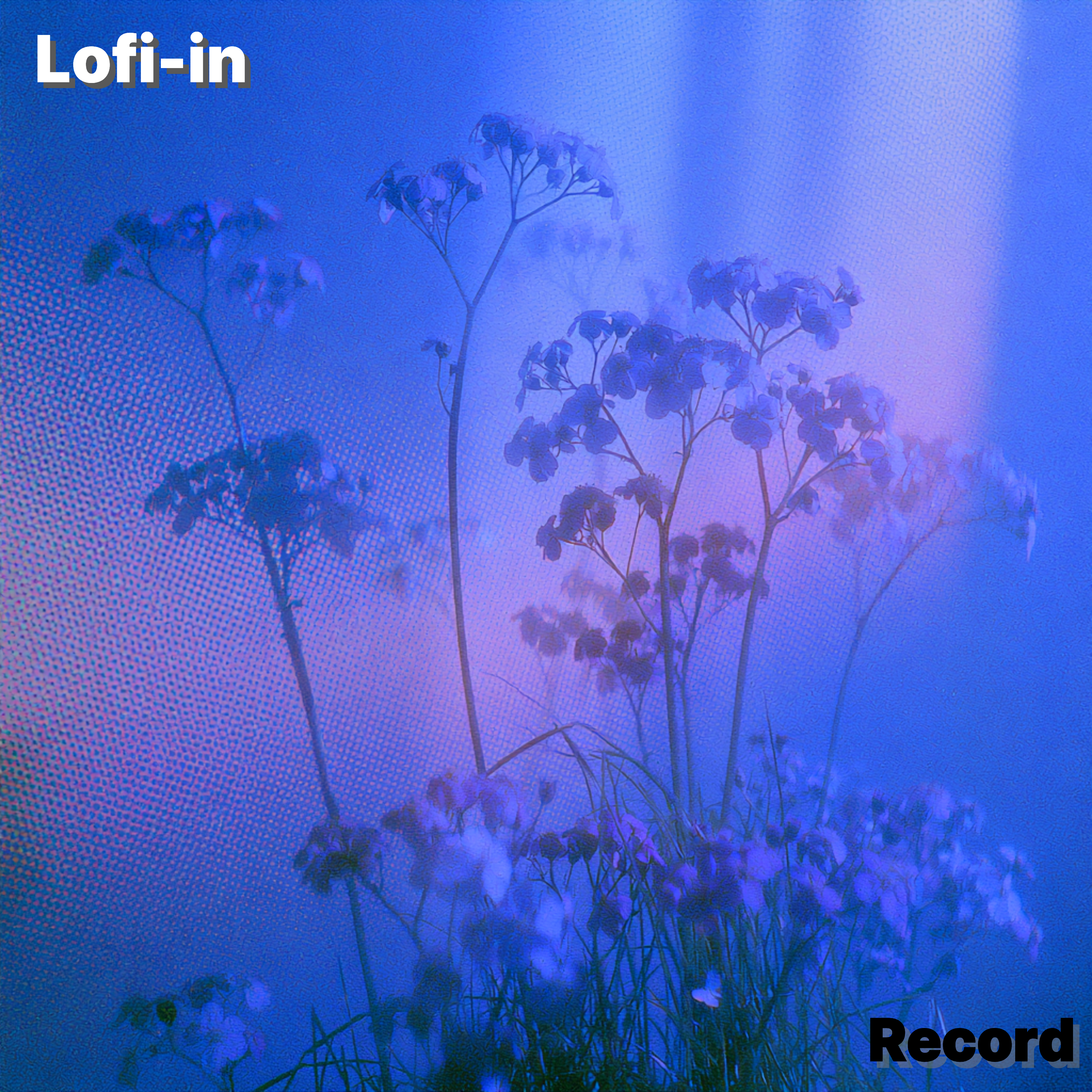 A Ray of Light by Lofi-in cover art