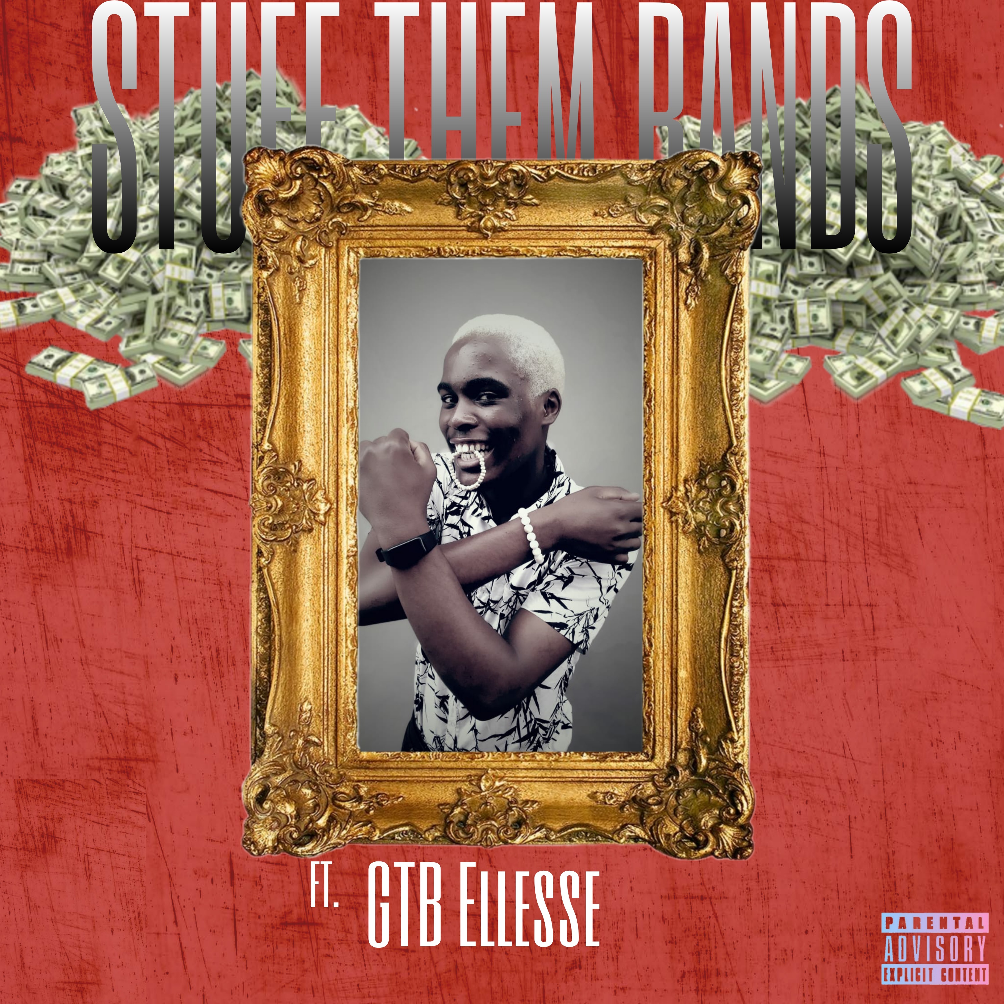 Stuff Them Bands artwork