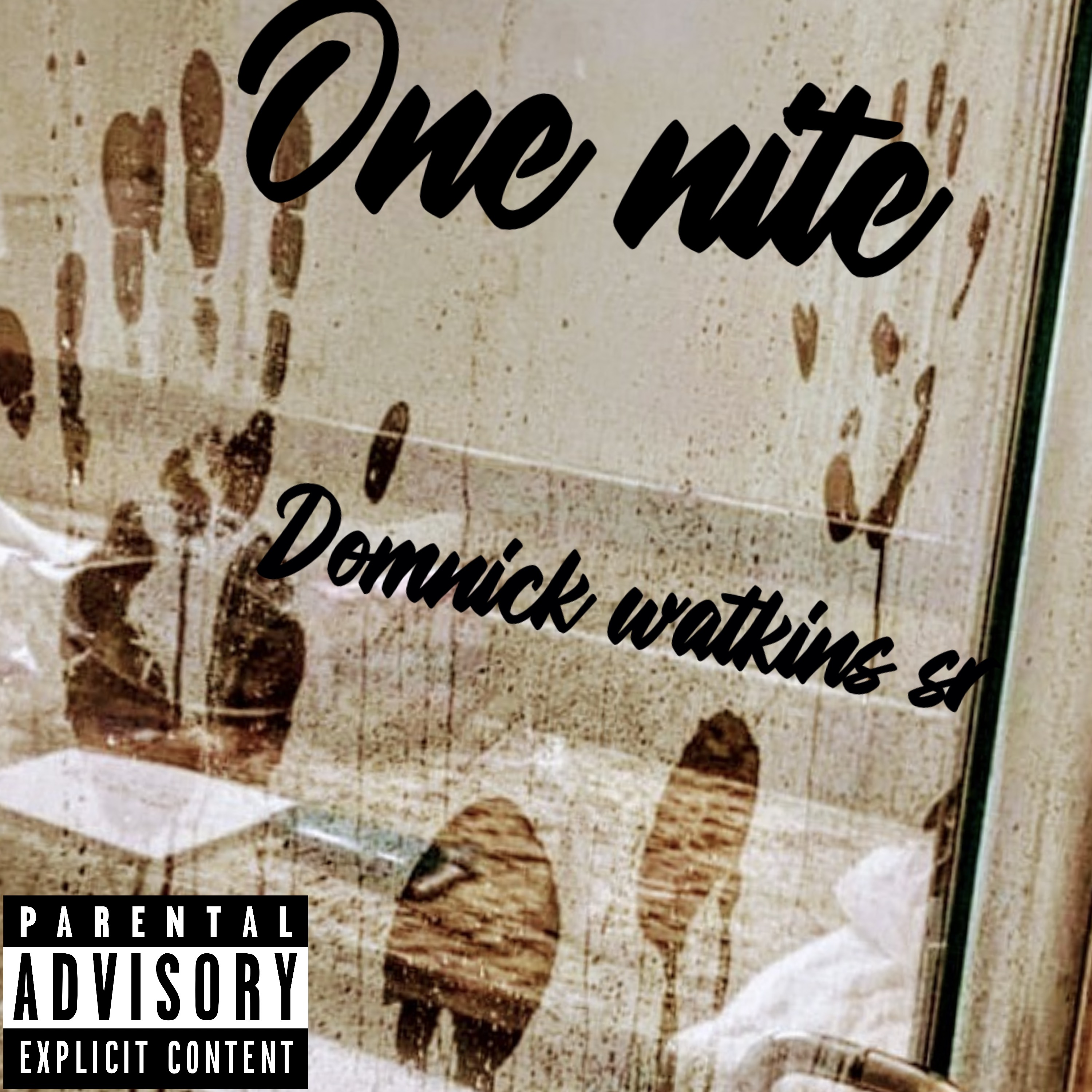 1 Nite artwork