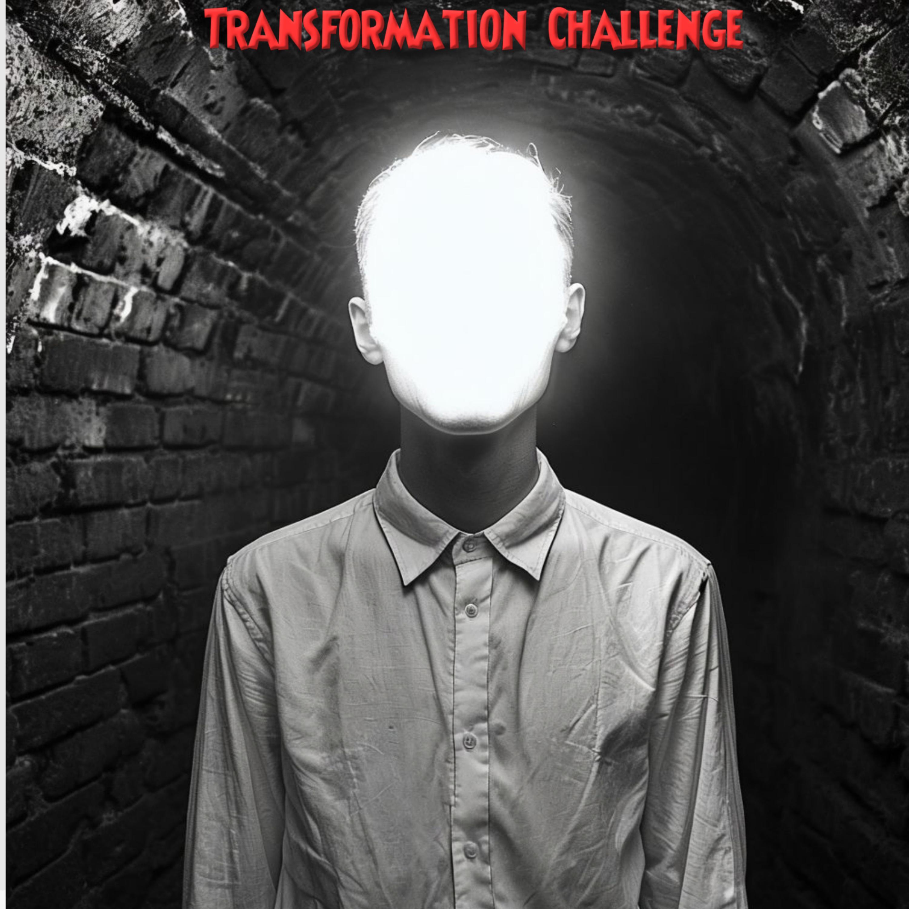 Transformation Challenge artwork