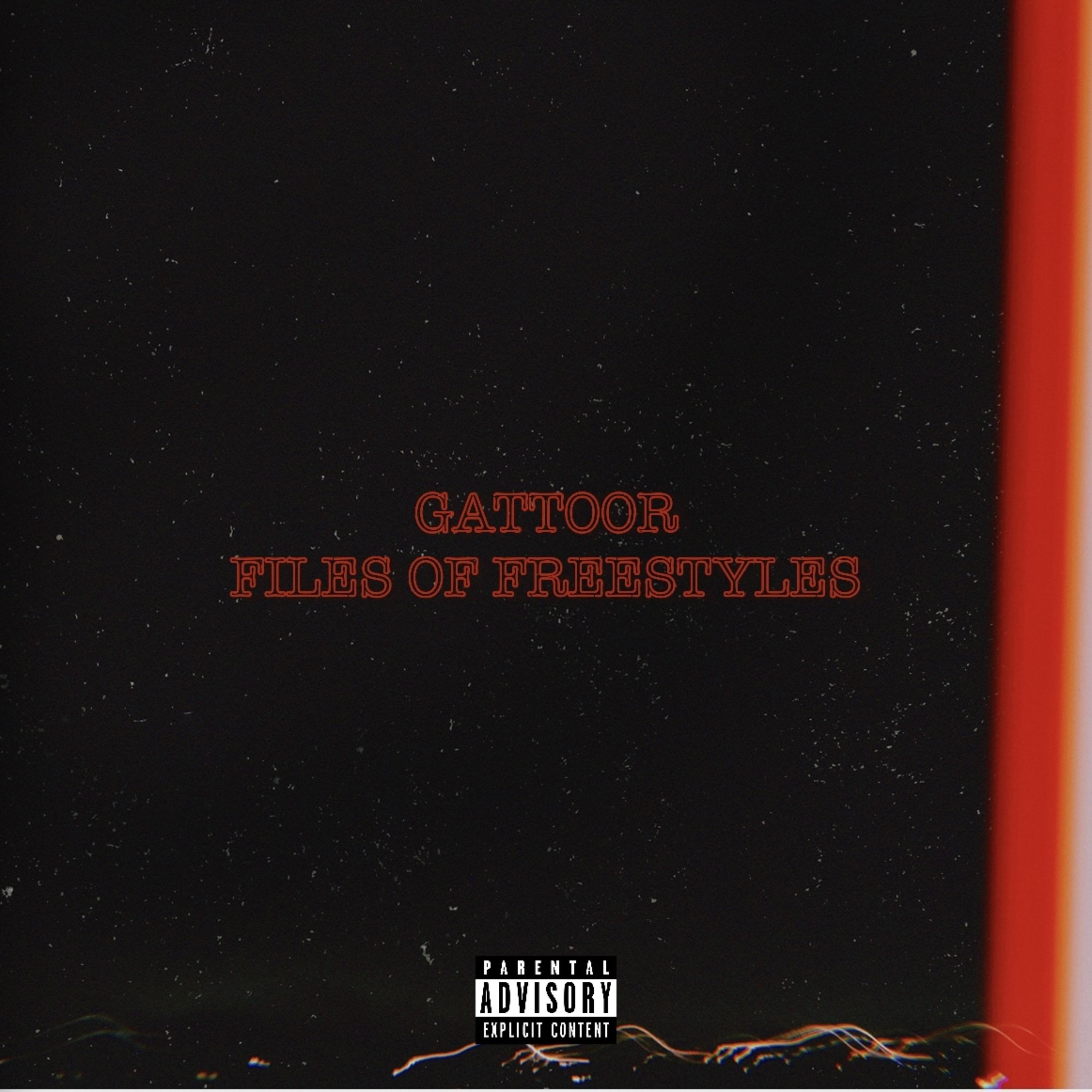 FILES OF FREESTYLEZ artwork