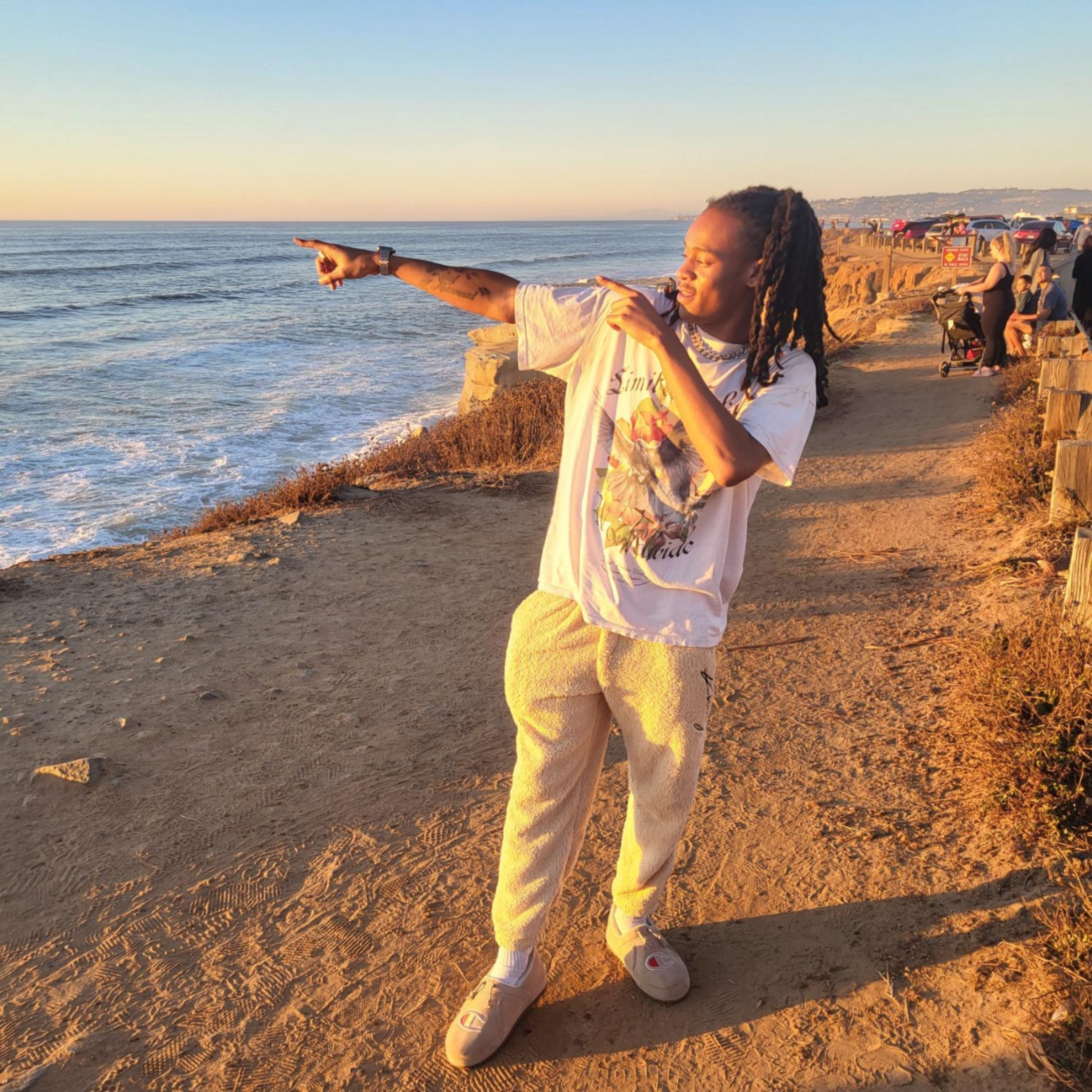 Play In The Wap artwork