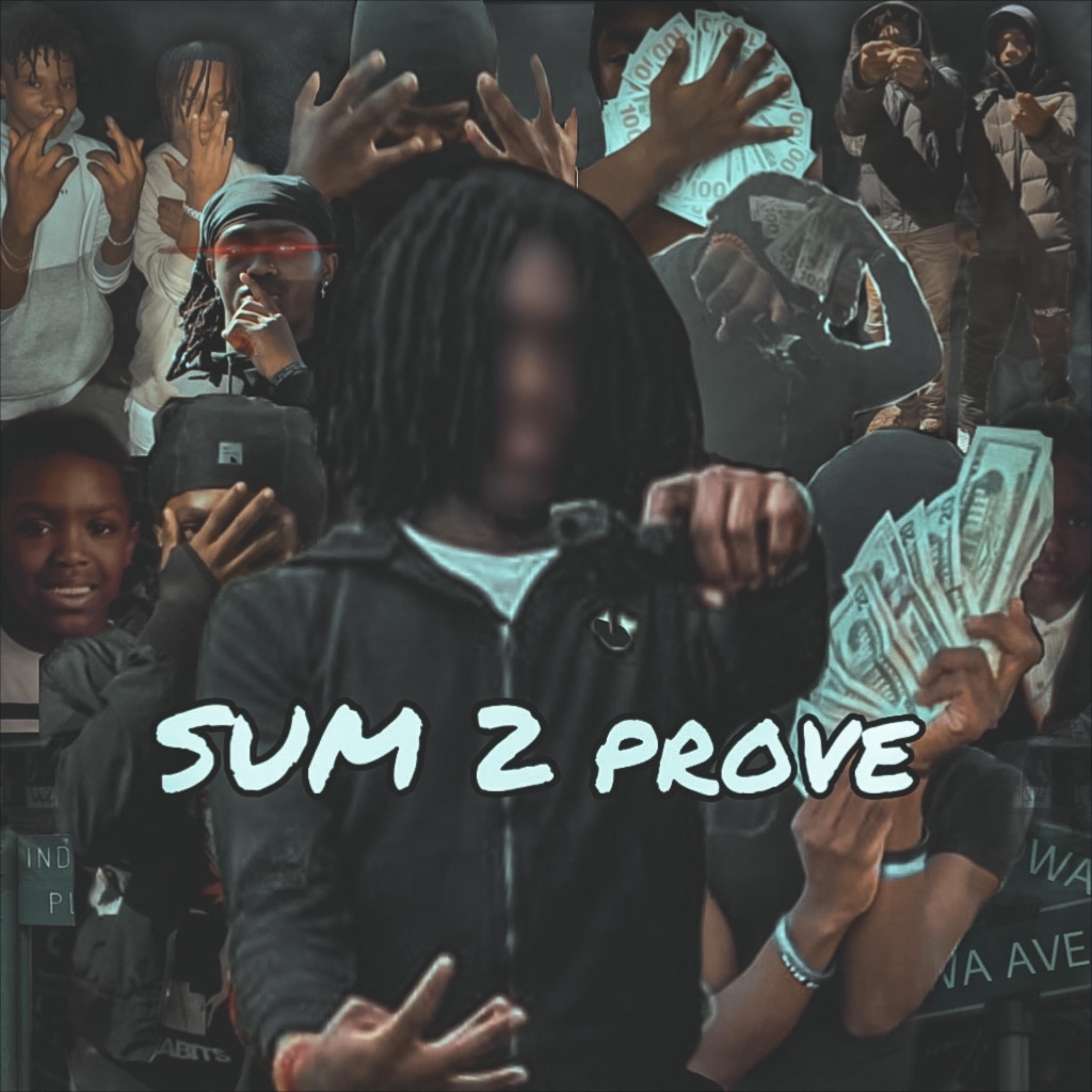 Sum 2 Prove by Dbro cover art