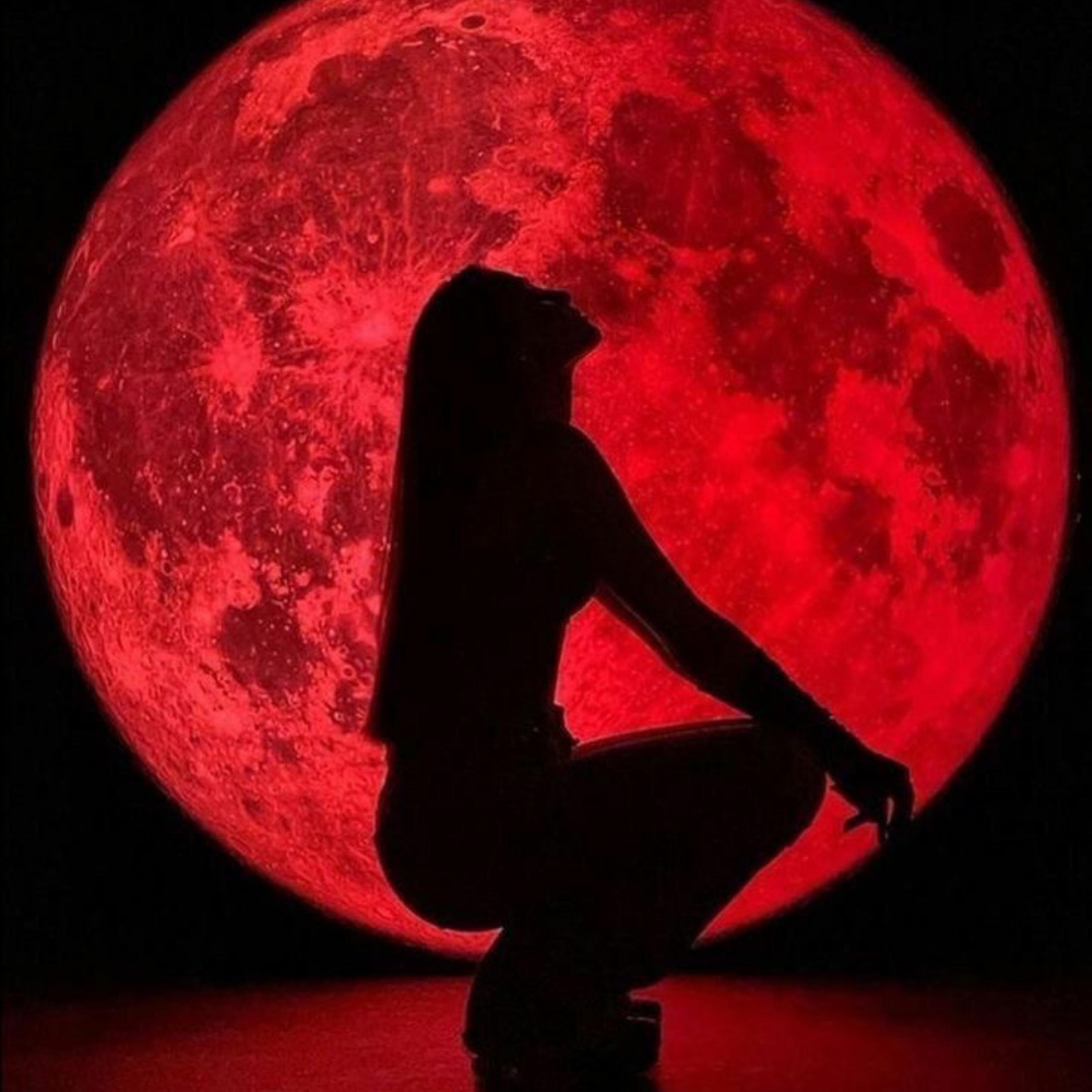 Dear Succubus, artwork