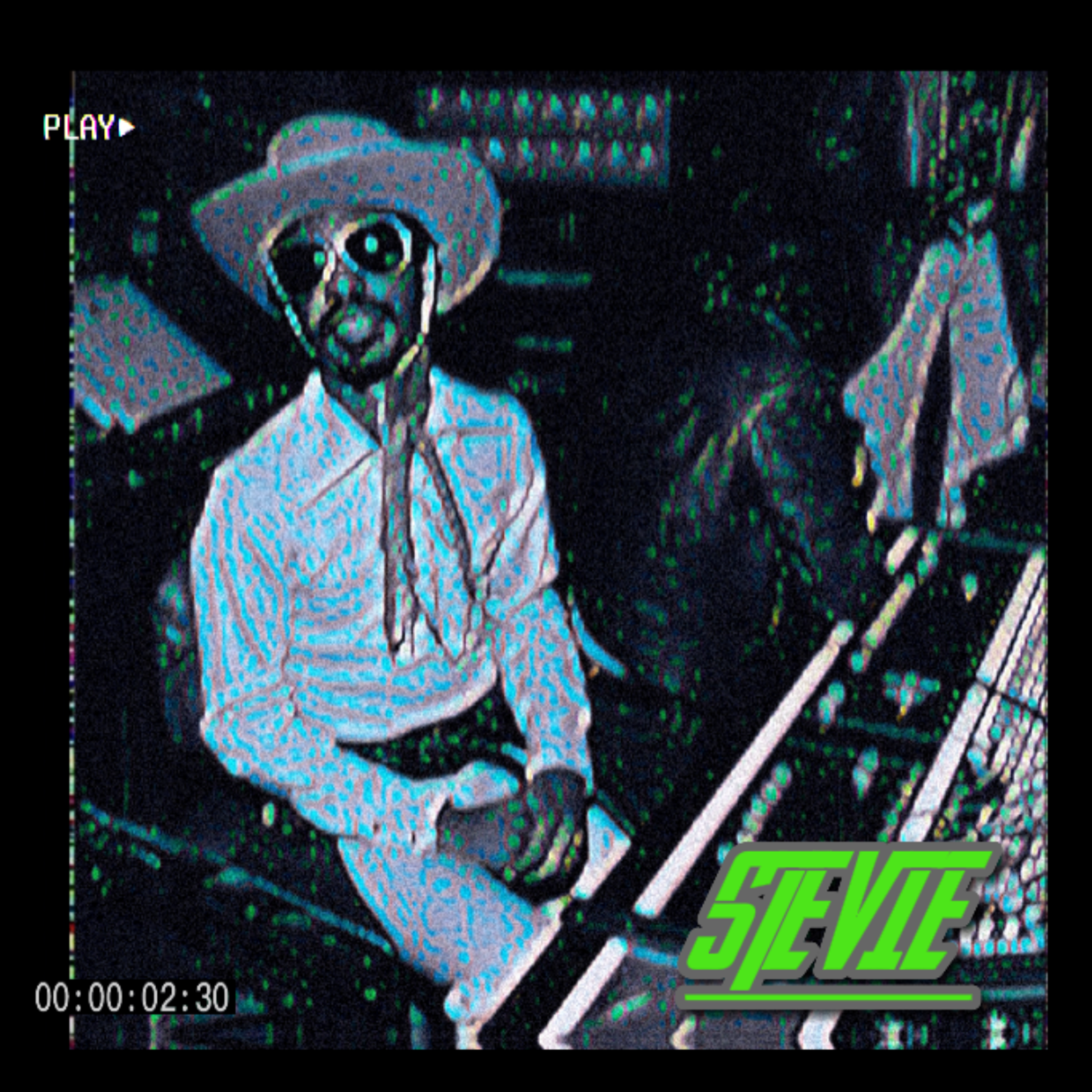 STEVIE artwork