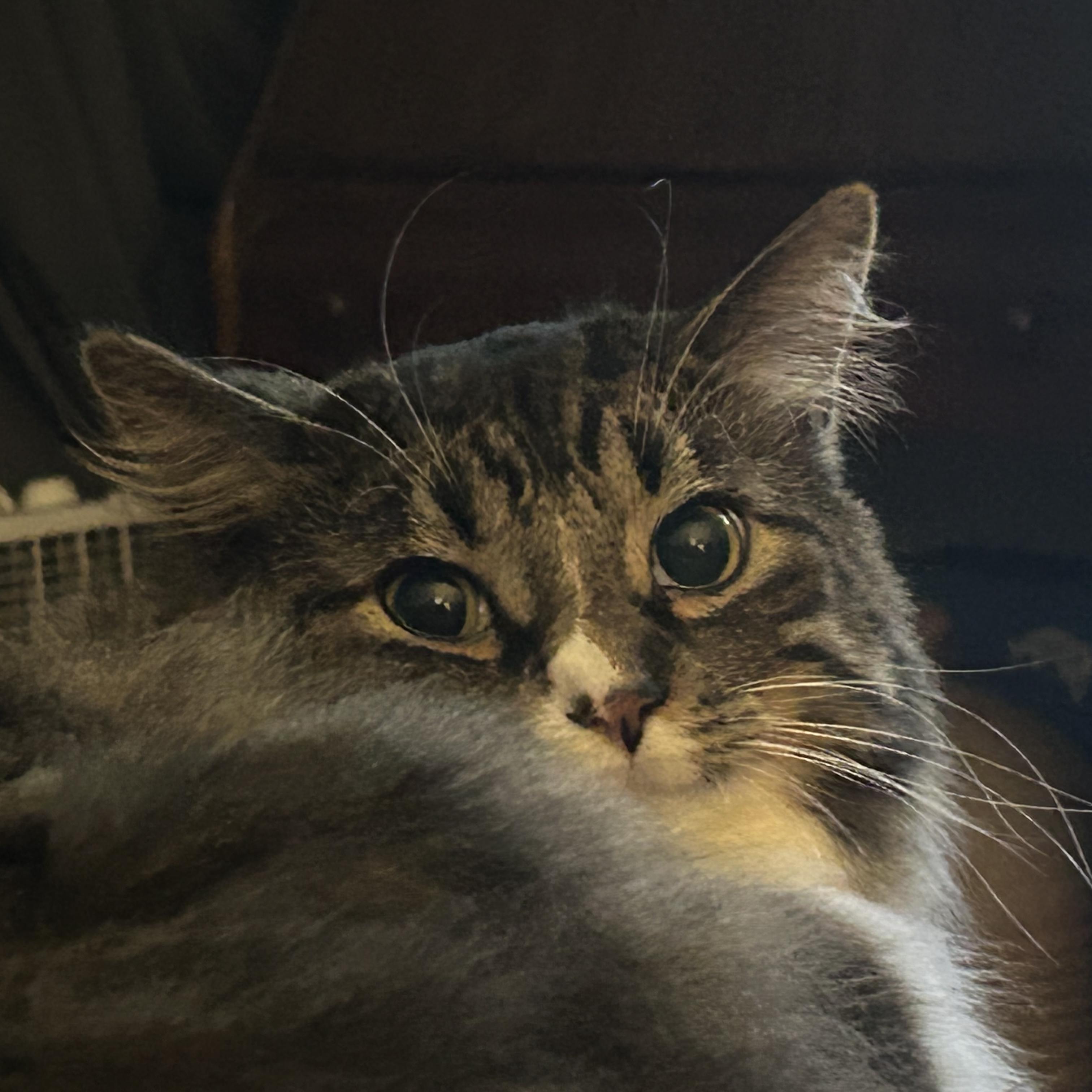 SIDE QUEST artwork