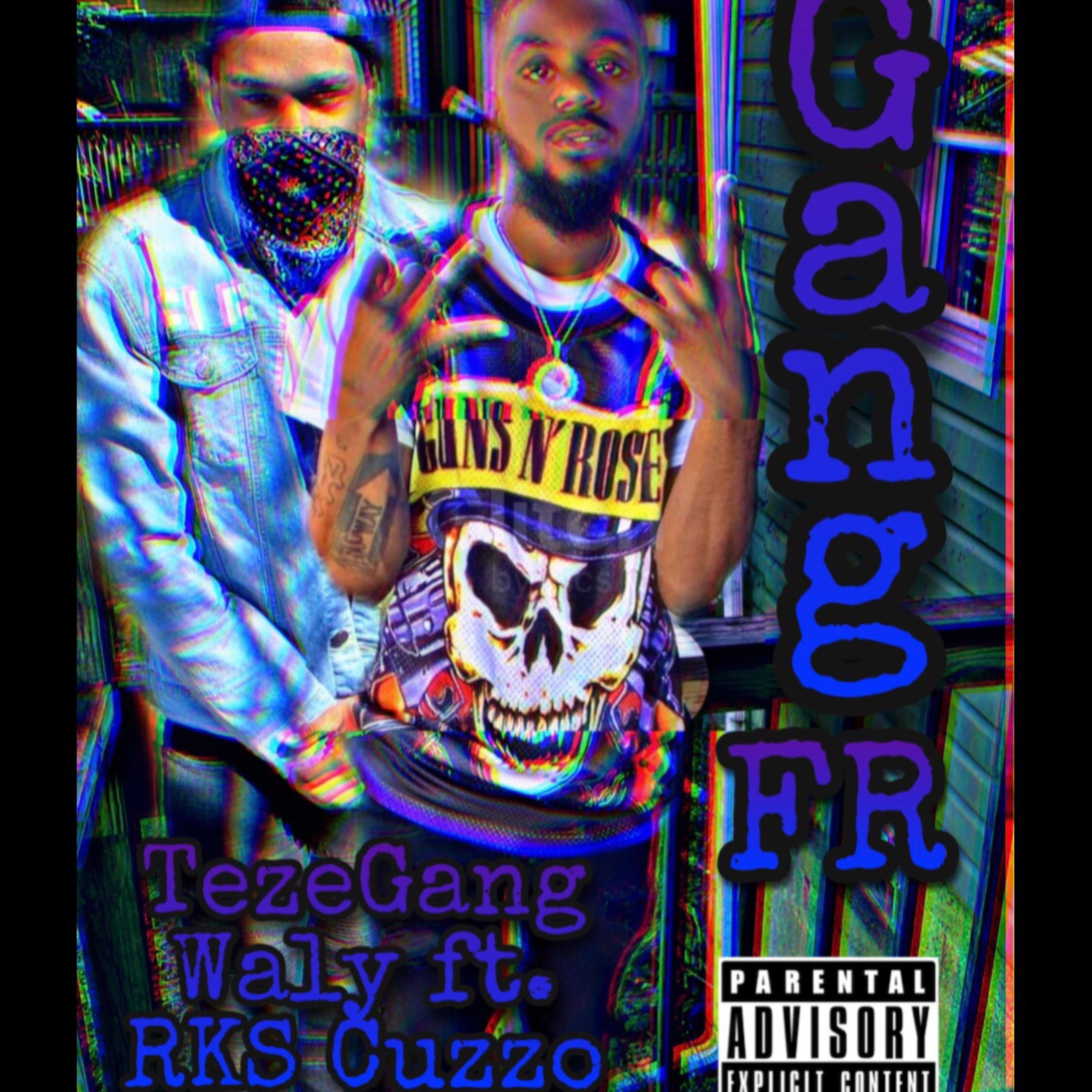 Gang FR artwork