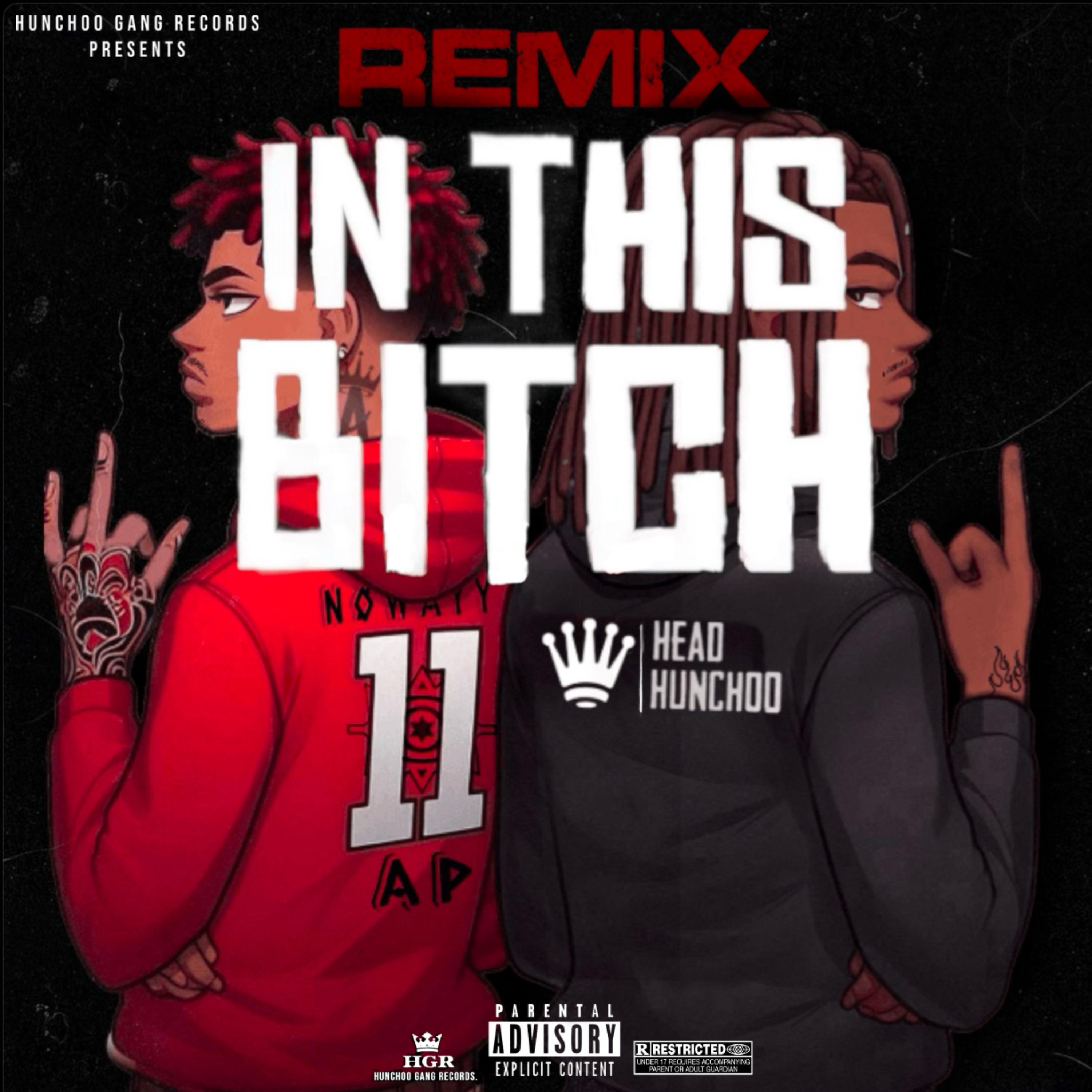 In This Bitch (Remix) artwork